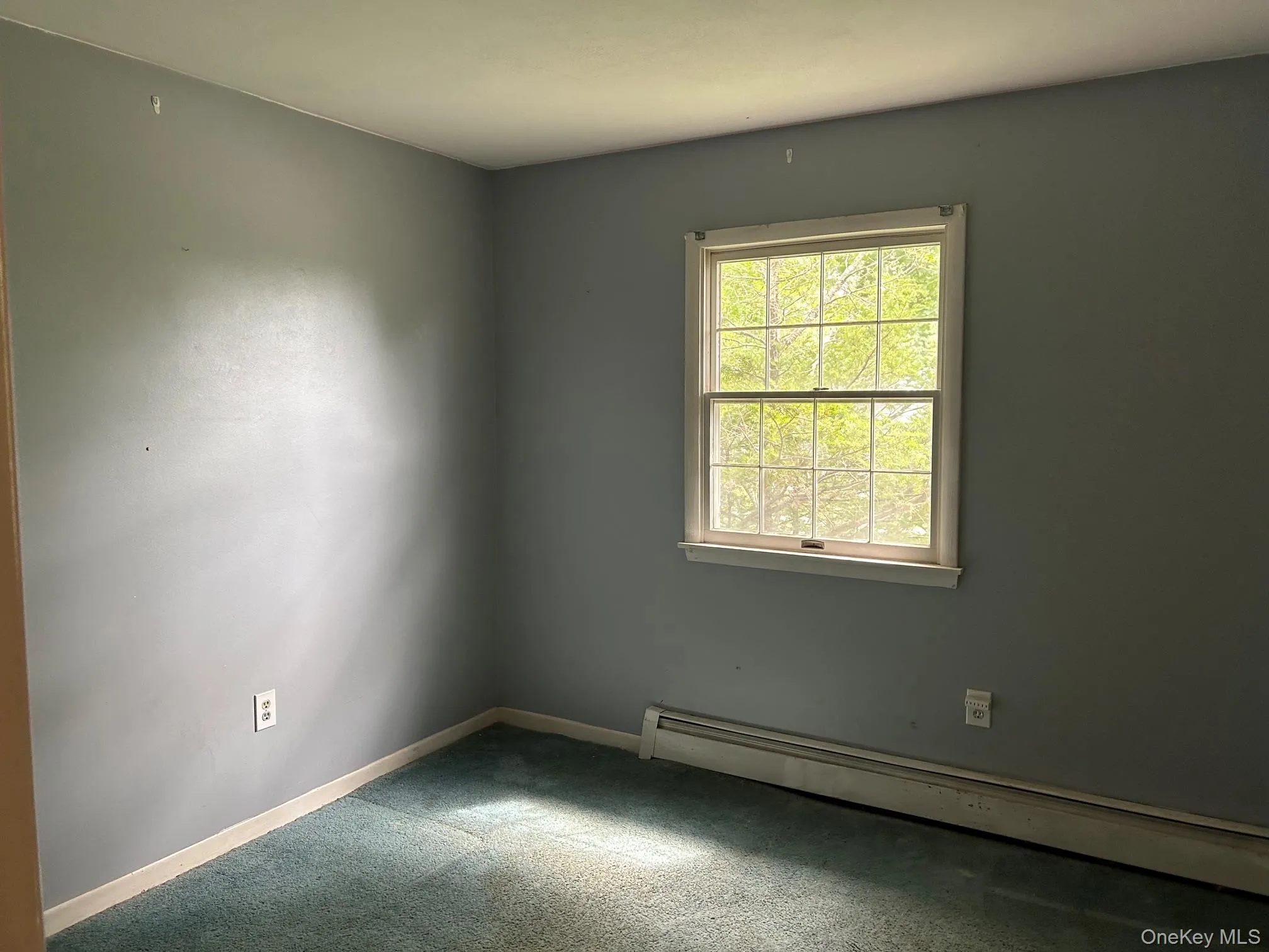 6 Pembroke Road, Blooming Grove, NY, 4 Bedrooms Bedrooms, 8 Rooms Rooms,2 BathroomsBathrooms,Residential,For Rent,Pembroke,0,1053568 6 Pembroke Road, Blooming Grove, NY, 4 Bedrooms Bedrooms, 8 Rooms Rooms,2 BathroomsBathrooms,Residential,For Rent,Pembroke,0,1053568
