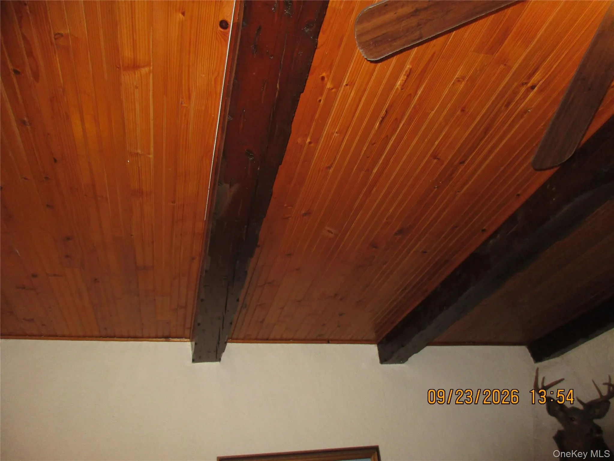 82-51 penelope Avenue, New York, NY, 3 Bedrooms Bedrooms, 6 Rooms Rooms,1 BathroomBathrooms,Residential,For Rent,penelope,0,1053588 82-51 penelope Avenue, New York, NY, 3 Bedrooms Bedrooms, 6 Rooms Rooms,1 BathroomBathrooms,Residential,For Rent,penelope,0,1053588