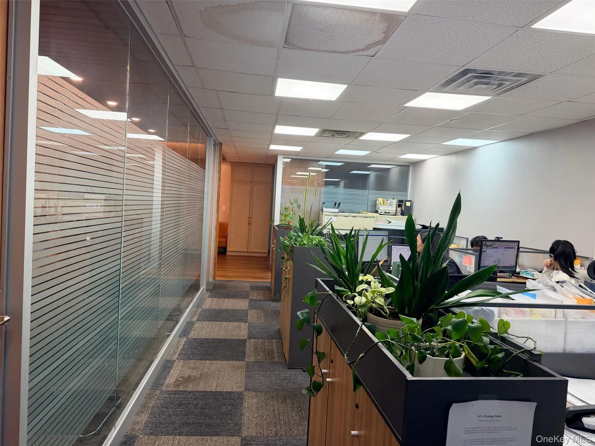 136-20 38th Avenue, New York, NY, ,Commercial Lease,For Rent,38th,0,1053589 136-20 38th Avenue, New York, NY, ,Commercial Lease,For Rent,38th,0,1053589