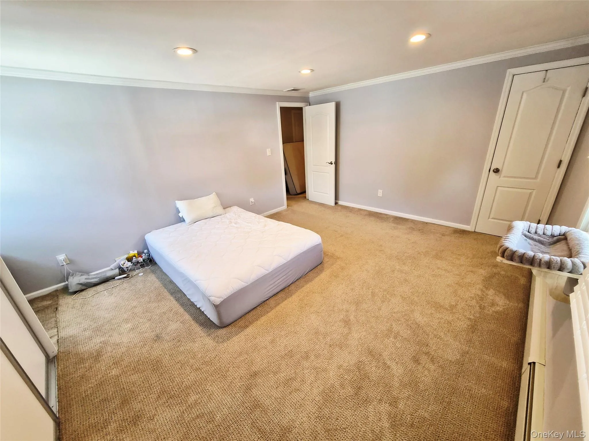 1920 Clemons Street, Hempstead, NY, 6 Bedrooms Bedrooms, 10 Rooms Rooms,2 BathroomsBathrooms,Residential,For Rent,Clemons,0,1053612 1920 Clemons Street, Hempstead, NY, 6 Bedrooms Bedrooms, 10 Rooms Rooms,2 BathroomsBathrooms,Residential,For Rent,Clemons,0,1053612