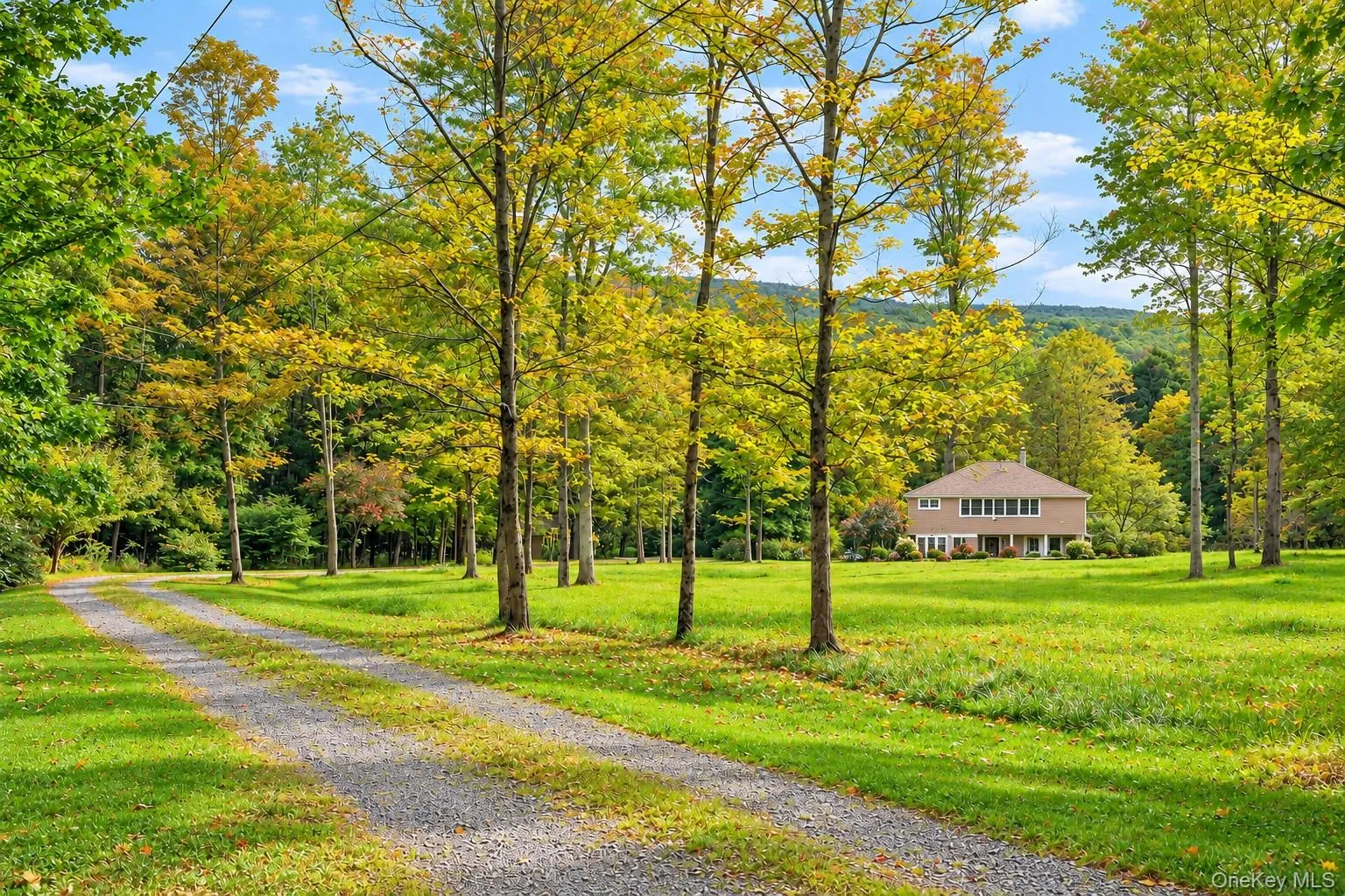 63 Knapp Hollow Lane, Hillsdale, NY, 3 Bedrooms Bedrooms, 10 Rooms Rooms,3 BathroomsBathrooms,Residential,For Rent,Knapp Hollow,0,1053625 63 Knapp Hollow Lane, Hillsdale, NY, 3 Bedrooms Bedrooms, 10 Rooms Rooms,3 BathroomsBathrooms,Residential,For Rent,Knapp Hollow,0,1053625