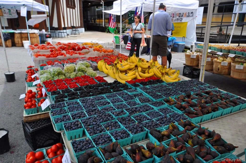 Enjoy the best a farmer’s market has to offer from June thru November located right at the Hartsdale train station. Enjoy the best a farmer’s market has to offer from June thru November located right at the Hartsdale train station.
