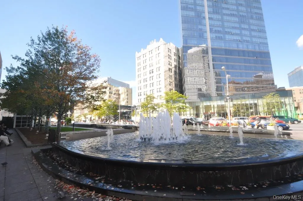 WHITE PLAINS the county seat of Westchester is a thriving city that has recently gone thru numerous revitalization -“The City Center” which offers plenty of shopping, theaters (including an I-Max) restaurants, grocery store and night life. The Westchester County Airport, just 10 minute away, is serviced by multiple airlines. Want to see a Broadway show, then take Metro North which offers 35 minute express trains into Grand Central Terminal. WHITE PLAINS the county seat of Westchester is a thriving city that has recently gone thru numerous revitalization -“The City Center” which offers plenty of shopping, theaters (including an I-Max) restaurants, grocery store and night life. The Westchester County Airport, just 10 minute away, is serviced by multiple airlines. Want to see a Broadway show, then take Metro North which offers 35 minute express trains into Grand Central Terminal.