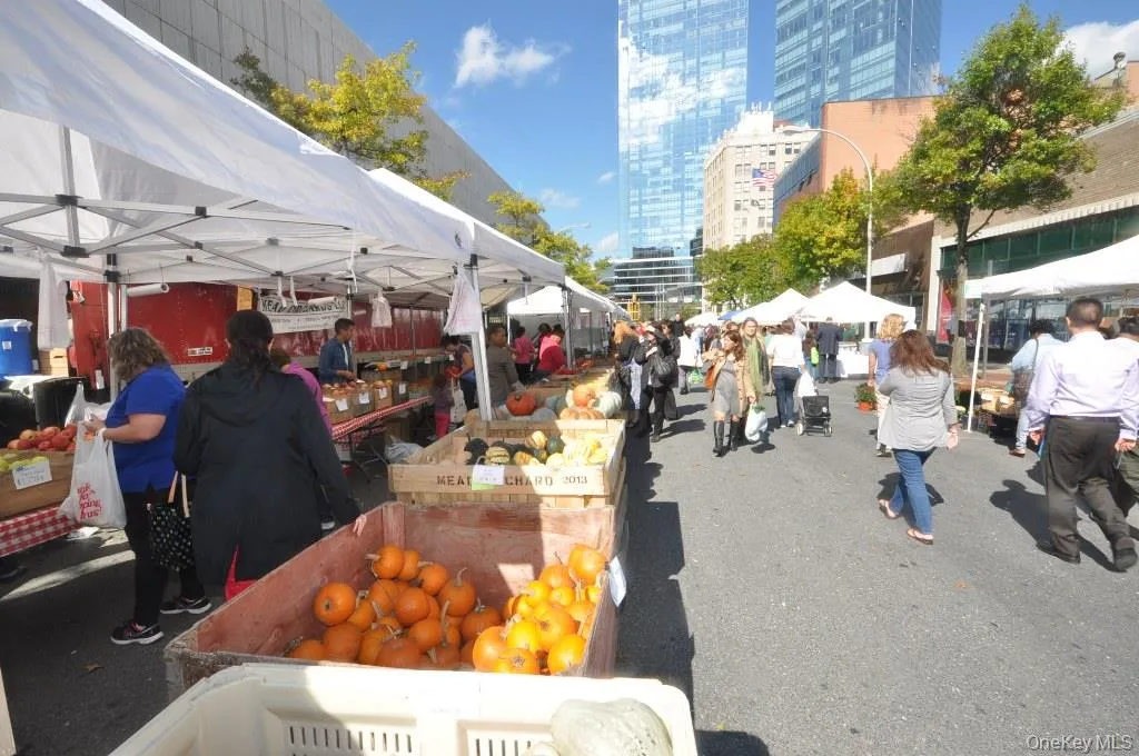 Farmers Market - WHITE PLAINS the county seat of Westchester is a thriving city that has recently gone thru numerous revitalization -“The City Center” which offers plenty of shopping, theaters (including an I-Max) restaurants, grocery store and night life. The Westchester County Airport, just 10 minute away, is serviced by multiple airlines. Want to see a Broadway show, then take Metro North which offers 35 minute express trains into Grand Central Terminal. Farmers Market - WHITE PLAINS the county seat of Westchester is a thriving city that has recently gone thru numerous revitalization -“The City Center” which offers plenty of shopping, theaters (including an I-Max) restaurants, grocery store and night life. The Westchester County Airport, just 10 minute away, is serviced by multiple airlines. Want to see a Broadway show, then take Metro North which offers 35 minute express trains into Grand Central Terminal.
