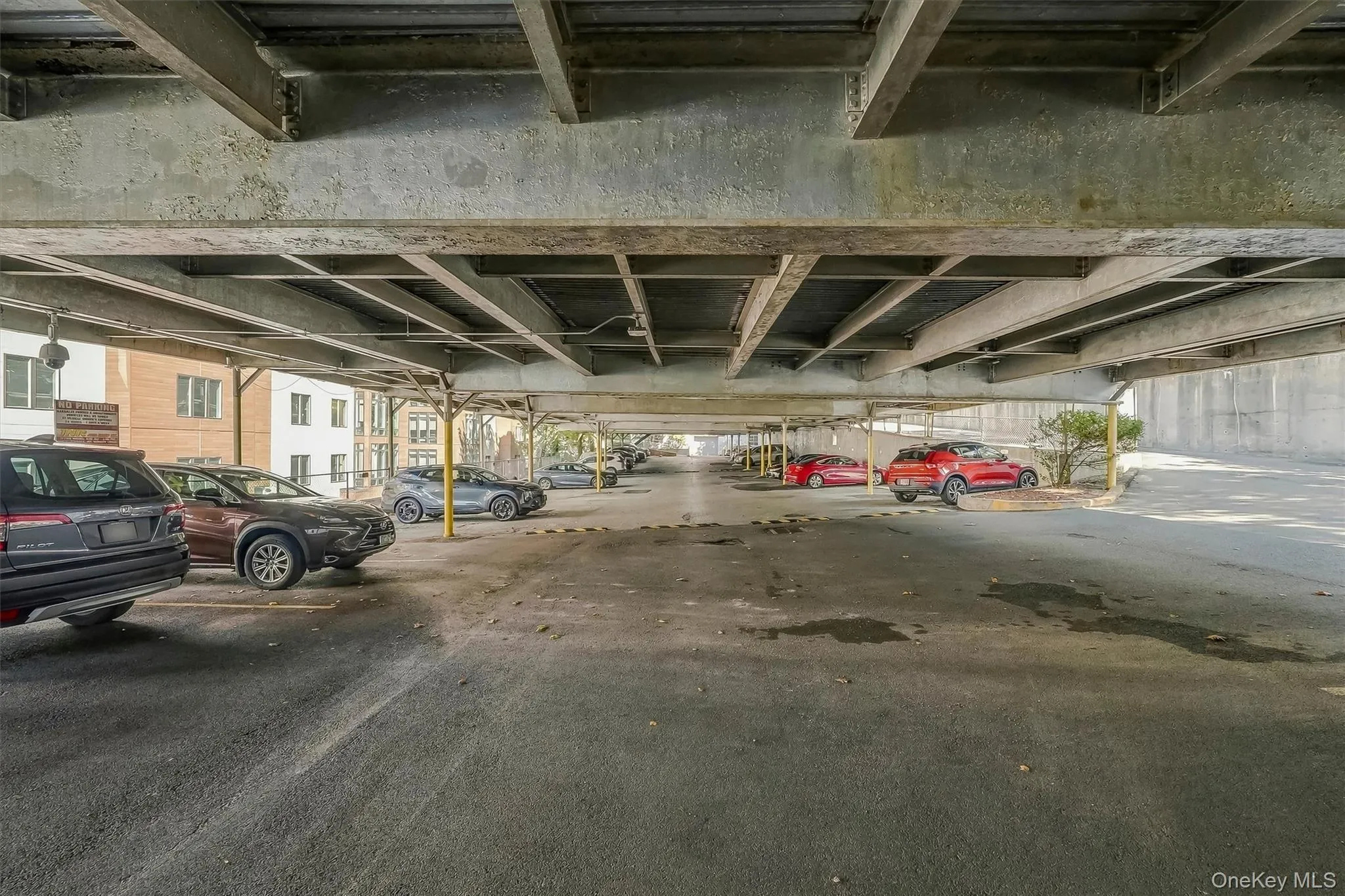 642 Locust Street, Mount Vernon, NY, 2 Bedrooms Bedrooms, 5 Rooms Rooms,2 BathroomsBathrooms,Residential,For Rent,Locust,0,1053674 642 Locust Street, Mount Vernon, NY, 2 Bedrooms Bedrooms, 5 Rooms Rooms,2 BathroomsBathrooms,Residential,For Rent,Locust,0,1053674
