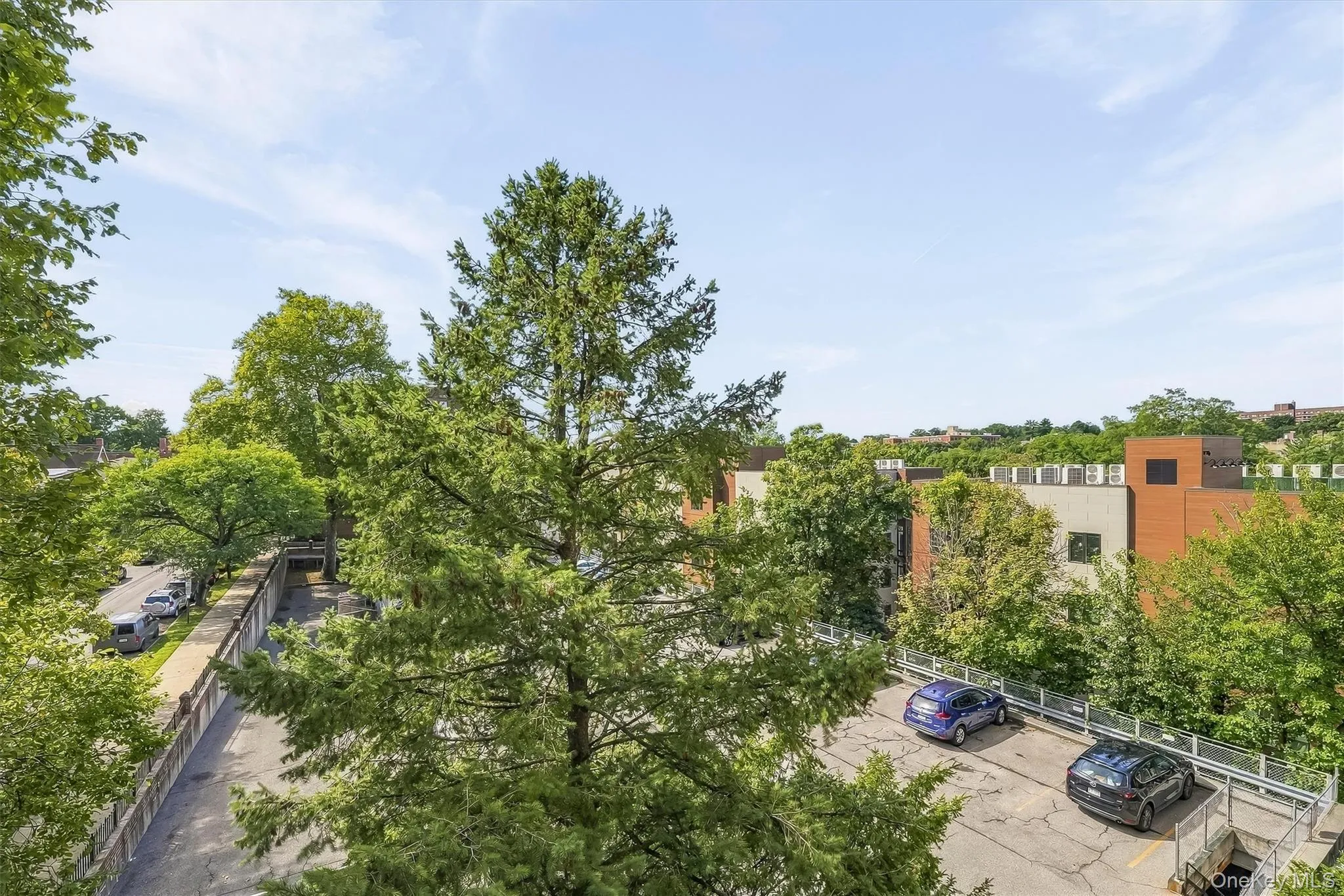 642 Locust Street, Mount Vernon, NY, 2 Bedrooms Bedrooms, 5 Rooms Rooms,2 BathroomsBathrooms,Residential,For Rent,Locust,0,1053674 642 Locust Street, Mount Vernon, NY, 2 Bedrooms Bedrooms, 5 Rooms Rooms,2 BathroomsBathrooms,Residential,For Rent,Locust,0,1053674