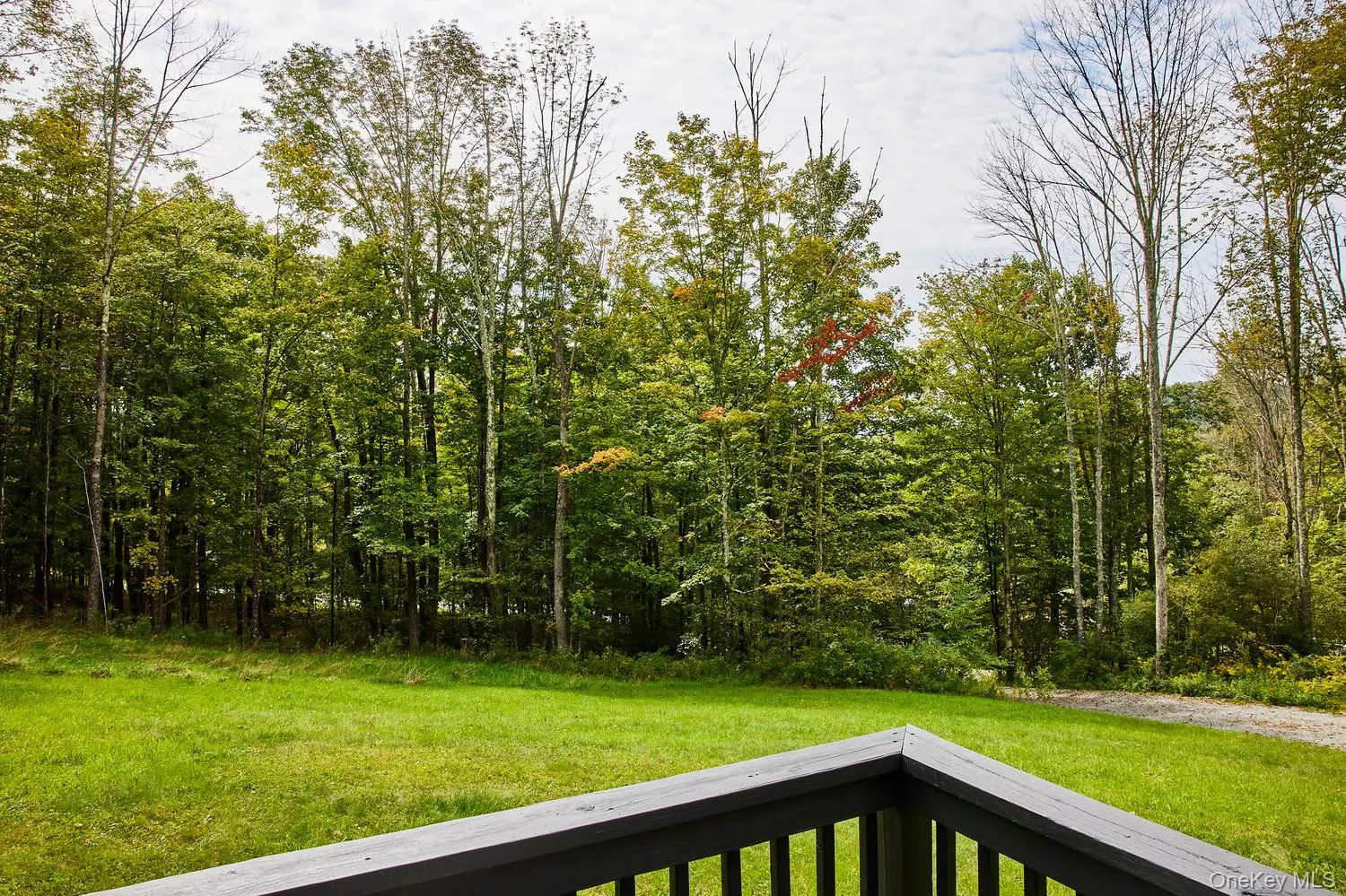 65 Parks Road, Liberty, NY, 3 Bedrooms Bedrooms, 8 Rooms Rooms,2 BathroomsBathrooms,Residential,For Rent,Parks,0,1053675 65 Parks Road, Liberty, NY, 3 Bedrooms Bedrooms, 8 Rooms Rooms,2 BathroomsBathrooms,Residential,For Rent,Parks,0,1053675