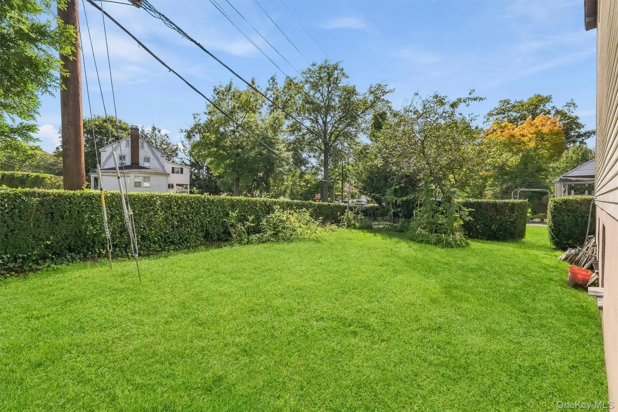 Expansive lawn area bordered by manicured hedges Expansive lawn area bordered by manicured hedges