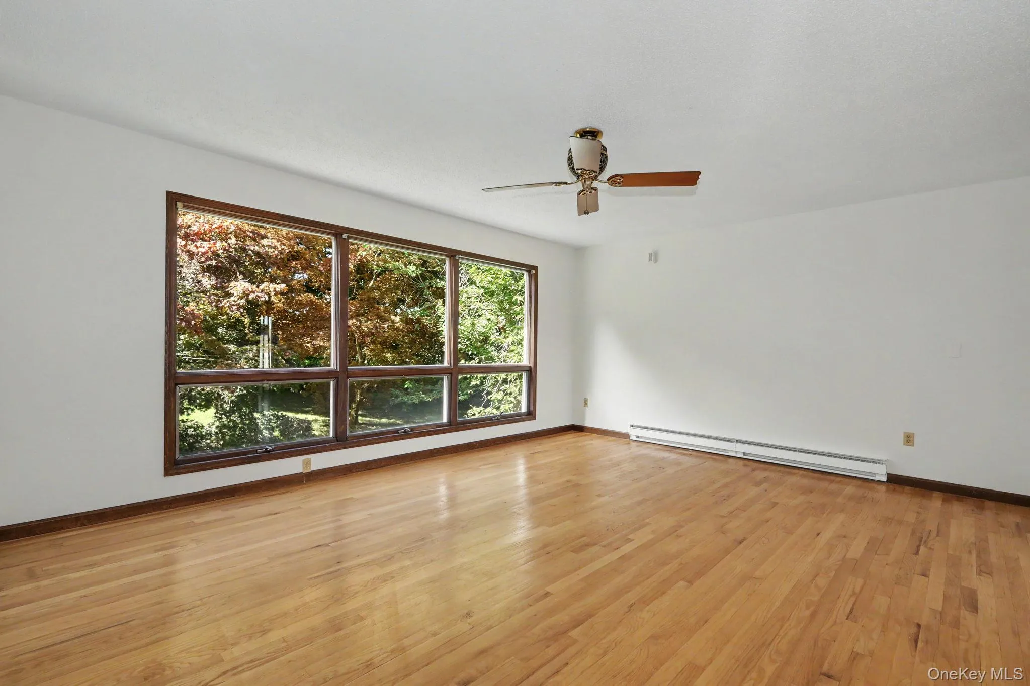Living room with large windows and hardwood floors Living room with large windows and hardwood floors