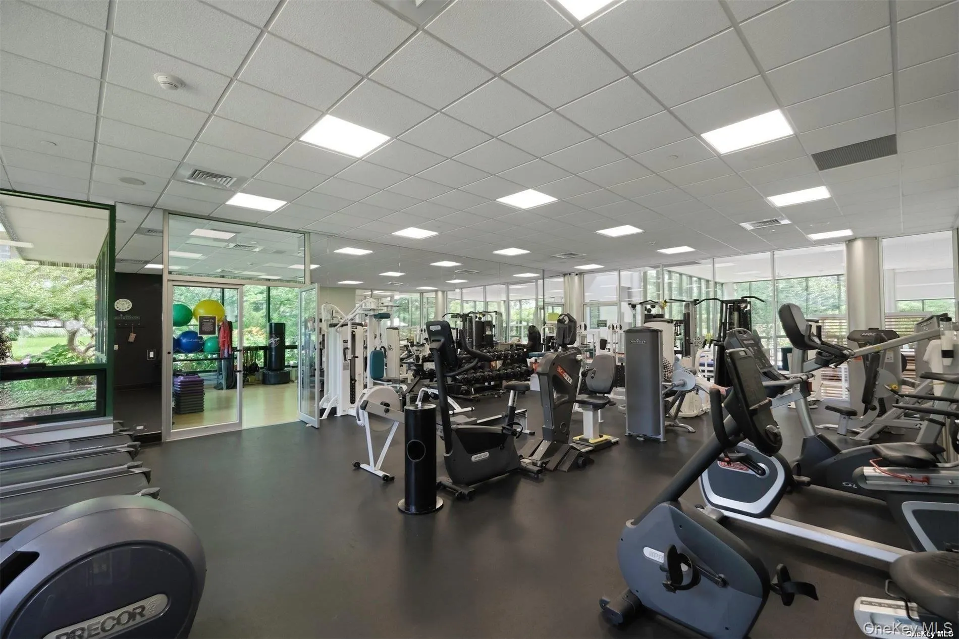 Gym and exercise room Gym and exercise room