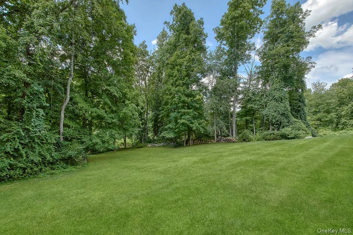 Expansive lawn surrounded by mature trees Expansive lawn surrounded by mature trees