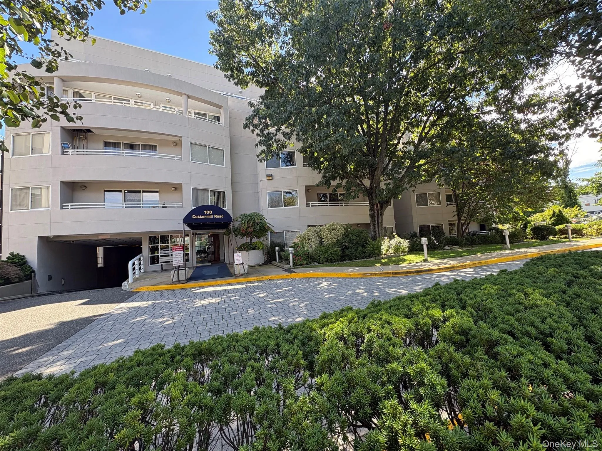 100 Cuttermill Road, North Hempstead, NY, 2 Bedrooms Bedrooms, 5 Rooms Rooms,2 BathroomsBathrooms,Residential Lease,For Rent,Cuttermill,0,1053699 100 Cuttermill Road, North Hempstead, NY, 2 Bedrooms Bedrooms, 5 Rooms Rooms,2 BathroomsBathrooms,Residential Lease,For Rent,Cuttermill,0,1053699