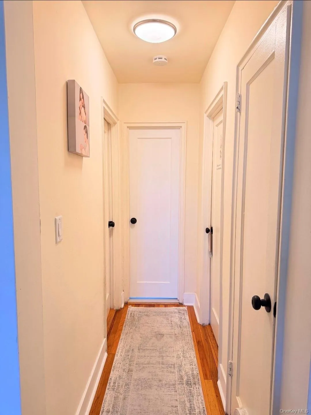 Hardwood flooring, flush-mount ceiling light, white paneled doors, matte black door hardware, and painted walls Hardwood flooring, flush-mount ceiling light, white paneled doors, matte black door hardware, and painted walls