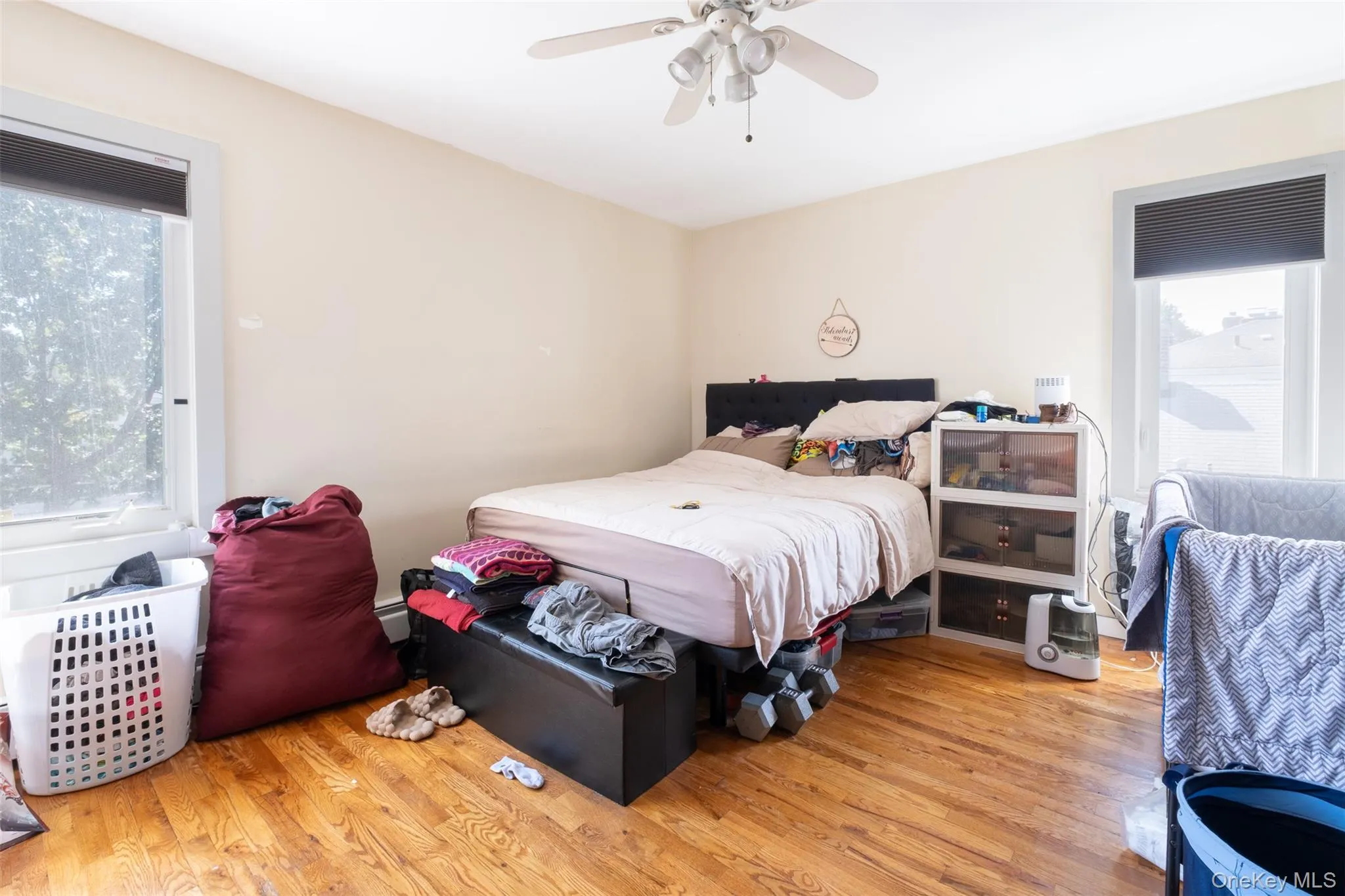 98 Reynold Street, New York, NY, 6 Bedrooms Bedrooms, 10 Rooms Rooms,2 BathroomsBathrooms,Residential,For Rent,Reynold,0,1053756 98 Reynold Street, New York, NY, 6 Bedrooms Bedrooms, 10 Rooms Rooms,2 BathroomsBathrooms,Residential,For Rent,Reynold,0,1053756