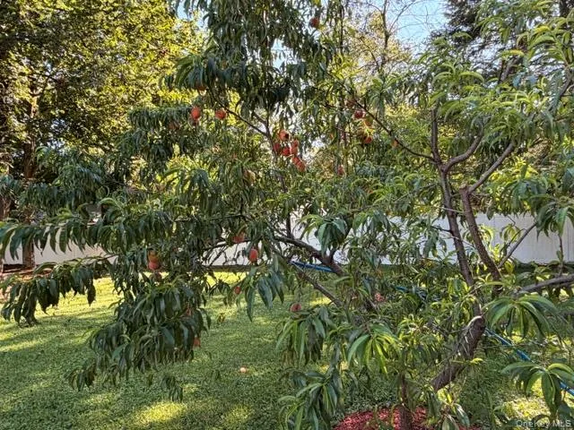 3 Elm Street, Deerpark, NY, 3 Bedrooms Bedrooms, 3 Rooms Rooms,1 BathroomBathrooms,Residential Lease,For Rent,Elm,0,1053822 3 Elm Street, Deerpark, NY, 3 Bedrooms Bedrooms, 3 Rooms Rooms,1 BathroomBathrooms,Residential Lease,For Rent,Elm,0,1053822