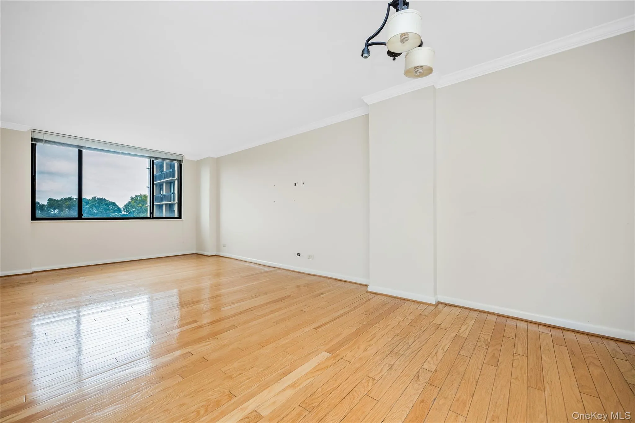 269-10 Grand Central Parkway, New York, NY, 2 Rooms Rooms,1 BathroomBathrooms,Residential,For Rent,Grand Central,0,1053847 269-10 Grand Central Parkway, New York, NY, 2 Rooms Rooms,1 BathroomBathrooms,Residential,For Rent,Grand Central,0,1053847