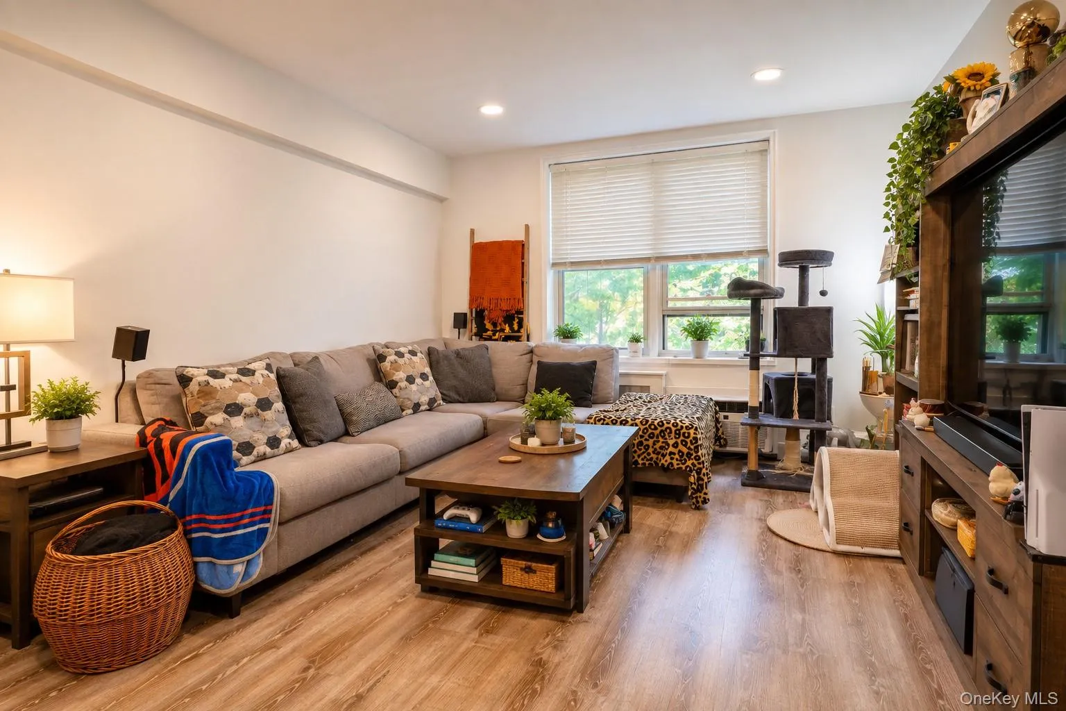 16 Main Street, Hempstead, NY, 1 Bedroom Bedrooms, 4 Rooms Rooms,1 BathroomBathrooms,Residential,For Rent,Main,0,1053859 16 Main Street, Hempstead, NY, 1 Bedroom Bedrooms, 4 Rooms Rooms,1 BathroomBathrooms,Residential,For Rent,Main,0,1053859