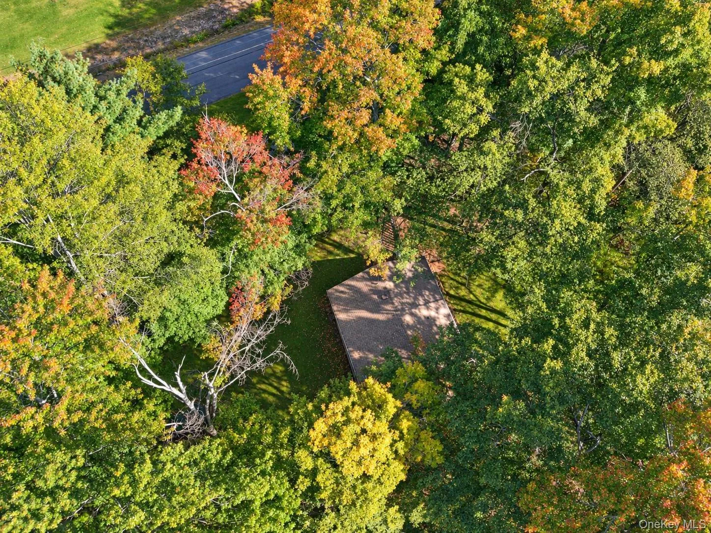 93 Starlight Drive, Thompson, NY, 2 Bedrooms Bedrooms, 4 Rooms Rooms,1 BathroomBathrooms,Residential,For Rent,Starlight,0,1053871 93 Starlight Drive, Thompson, NY, 2 Bedrooms Bedrooms, 4 Rooms Rooms,1 BathroomBathrooms,Residential,For Rent,Starlight,0,1053871