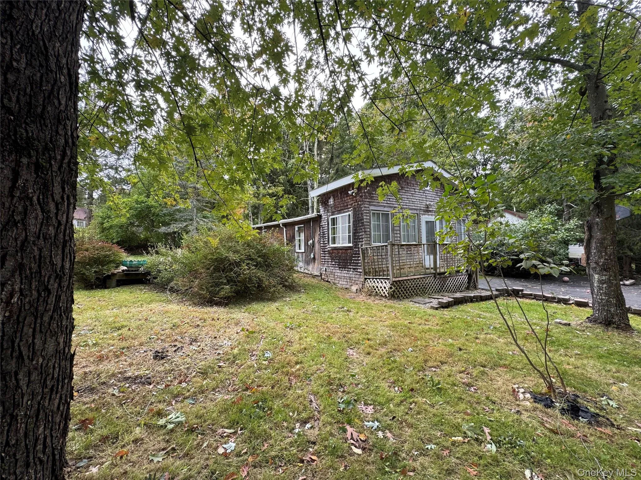 59 Laurel Trail, Mamakating, NY, 2 Bedrooms Bedrooms, 4 Rooms Rooms,1 BathroomBathrooms,Residential,For Rent,Laurel,0,1053915 59 Laurel Trail, Mamakating, NY, 2 Bedrooms Bedrooms, 4 Rooms Rooms,1 BathroomBathrooms,Residential,For Rent,Laurel,0,1053915