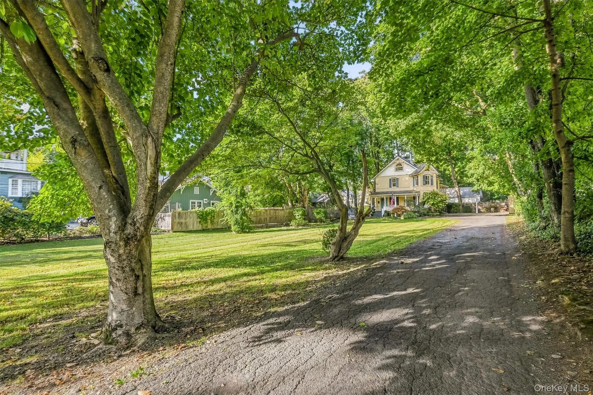 Tree-lined setting with a spacious lawn and long driveway Tree-lined setting with a spacious lawn and long driveway