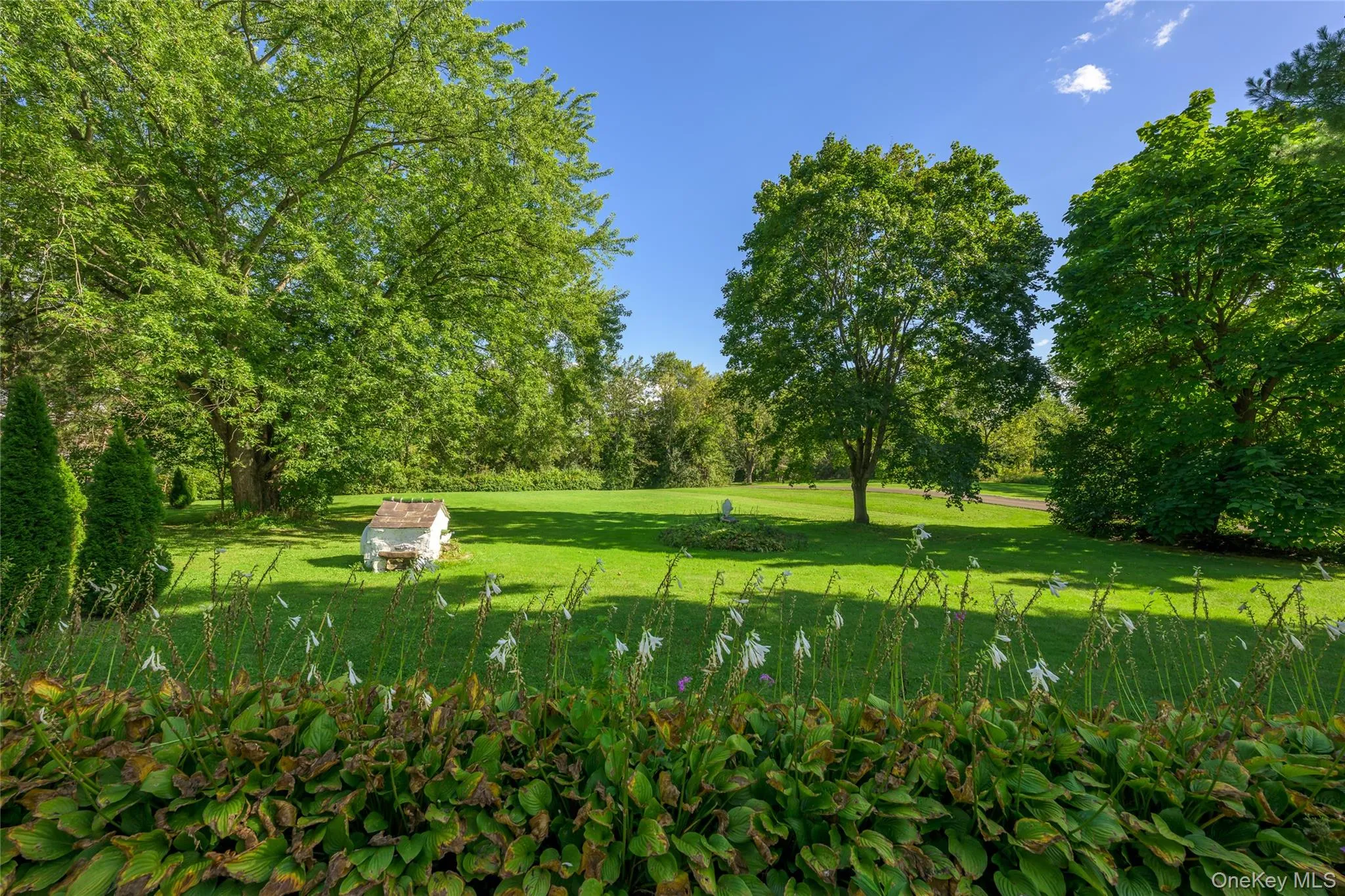 1166 Woods Road, Germantown, NY, 3 Bedrooms Bedrooms, 14 Rooms Rooms,2 BathroomsBathrooms,Residential,For Rent,Woods,0,1053967 1166 Woods Road, Germantown, NY, 3 Bedrooms Bedrooms, 14 Rooms Rooms,2 BathroomsBathrooms,Residential,For Rent,Woods,0,1053967