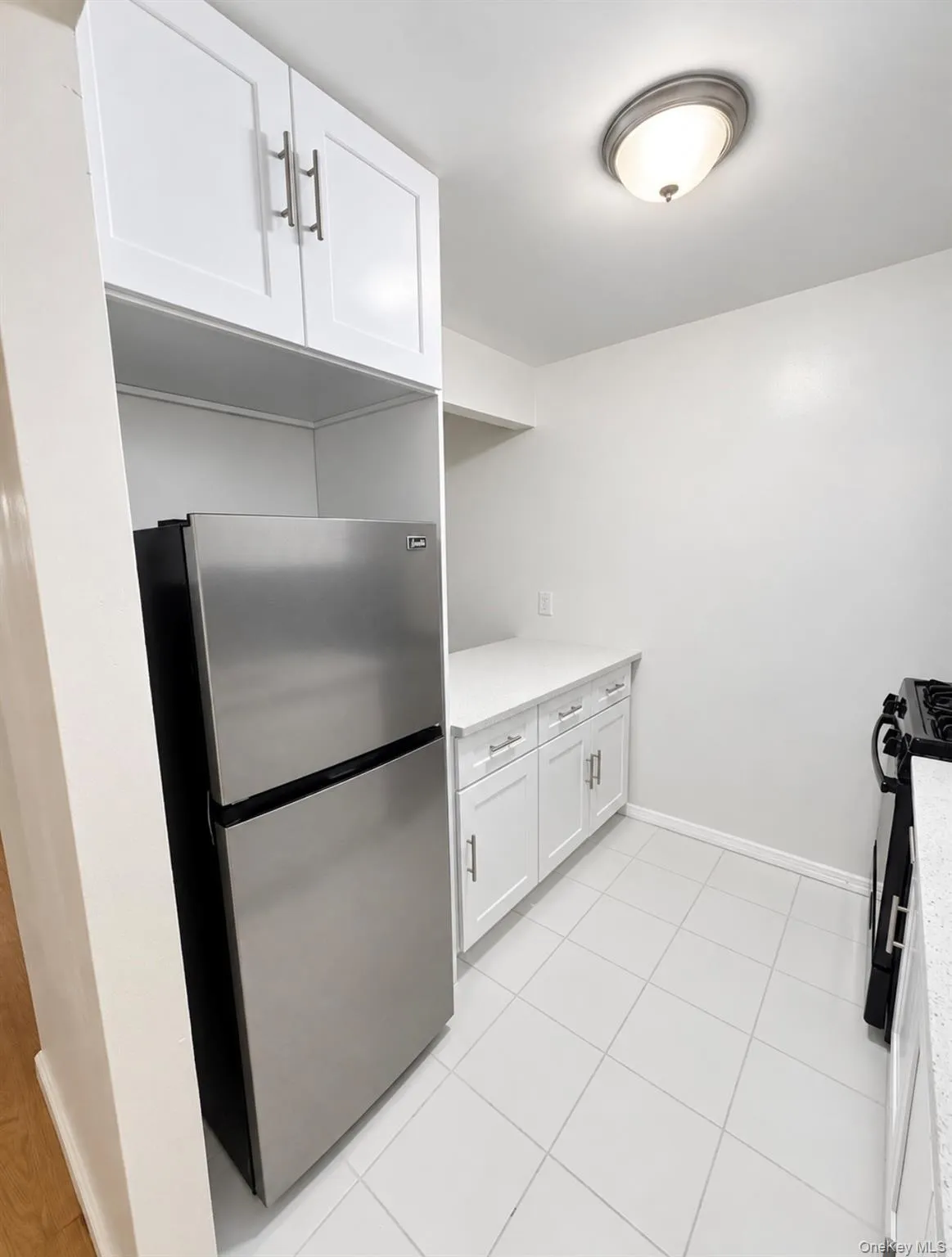 STAINLESS STEEL REF STAINLESS STEEL REF
