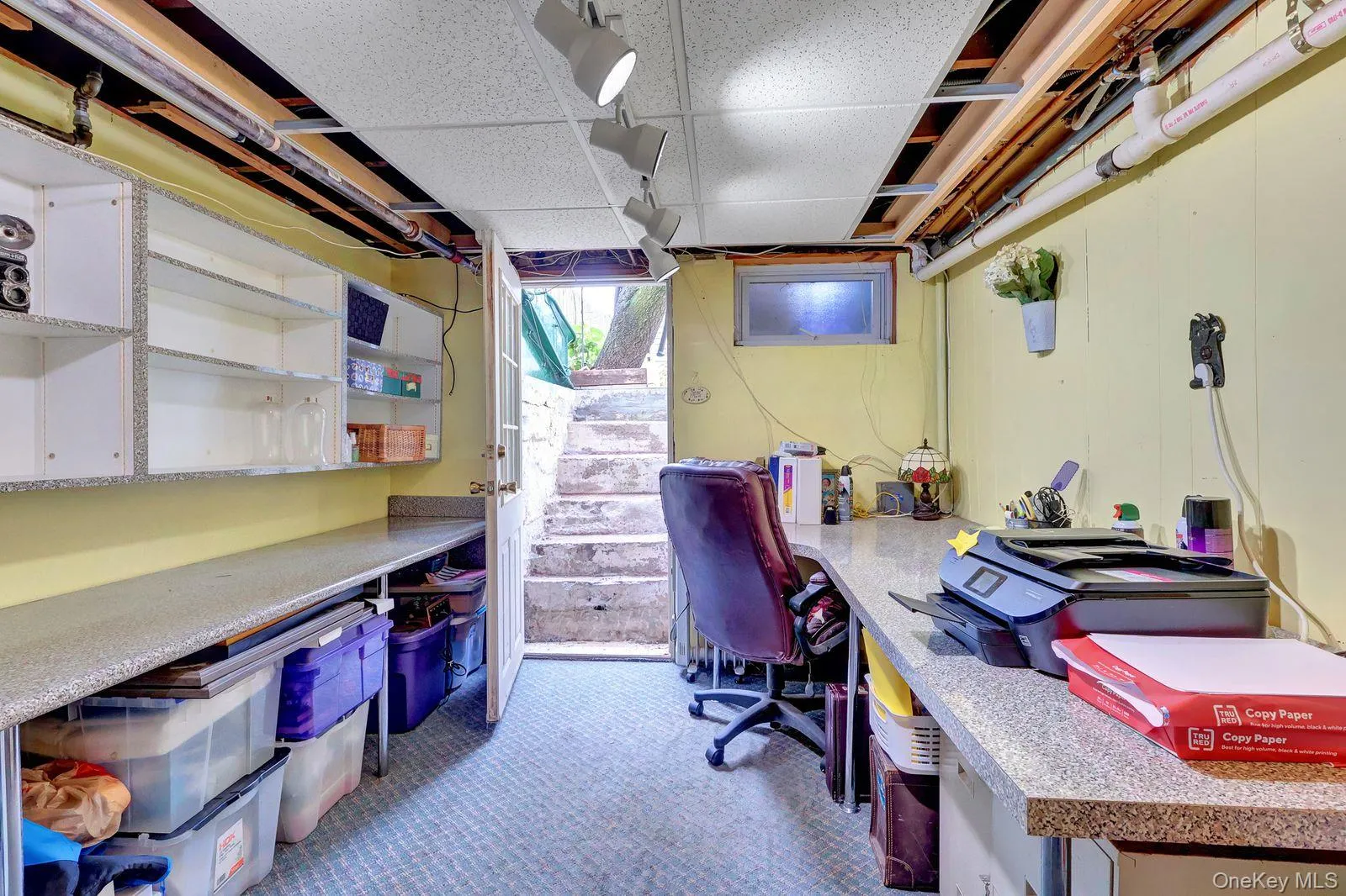 Basement office with outside entrance to backyard Basement office with outside entrance to backyard