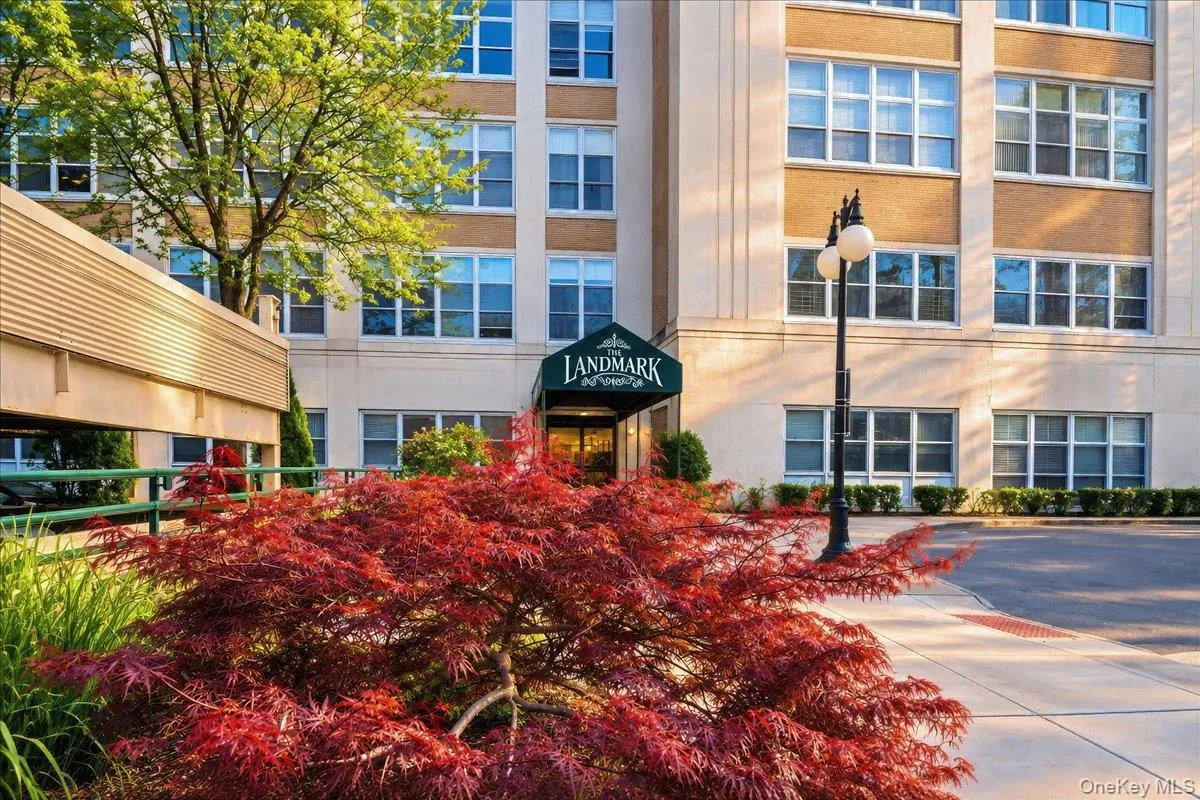 1 Landmark Square, Rye Town, NY, 3 Rooms Rooms,1 BathroomBathrooms,Residential,For Rent,Landmark,0,1054060 1 Landmark Square, Rye Town, NY, 3 Rooms Rooms,1 BathroomBathrooms,Residential,For Rent,Landmark,0,1054060