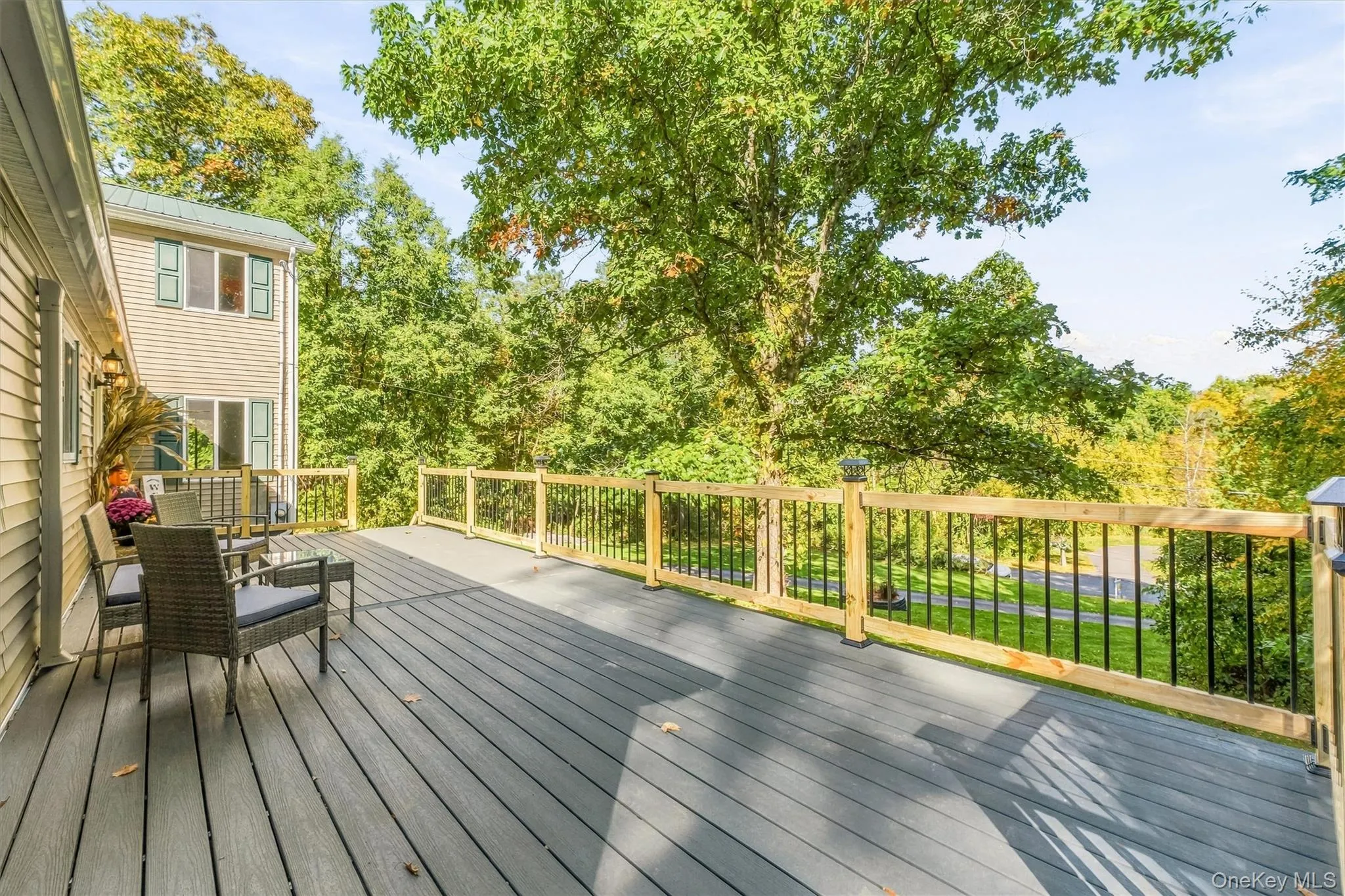 Expansive composite deck with horizontal wood-finish flooring and black metal railing system overlooking mature landscaping and open grounds Expansive composite deck with horizontal wood-finish flooring and black metal railing system overlooking mature landscaping and open grounds