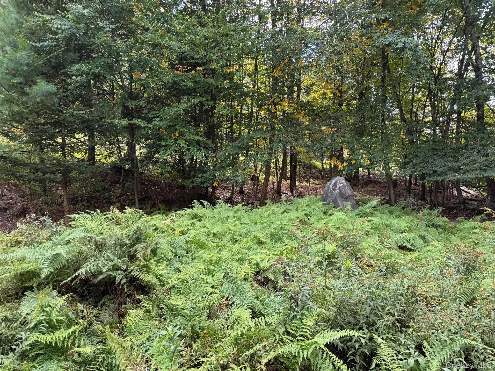 186 Twin Bridge Road, Liberty, NY, 2 Bedrooms Bedrooms, 6 Rooms Rooms,2 BathroomsBathrooms,Residential,For Rent,Twin Bridge,0,1054066 186 Twin Bridge Road, Liberty, NY, 2 Bedrooms Bedrooms, 6 Rooms Rooms,2 BathroomsBathrooms,Residential,For Rent,Twin Bridge,0,1054066