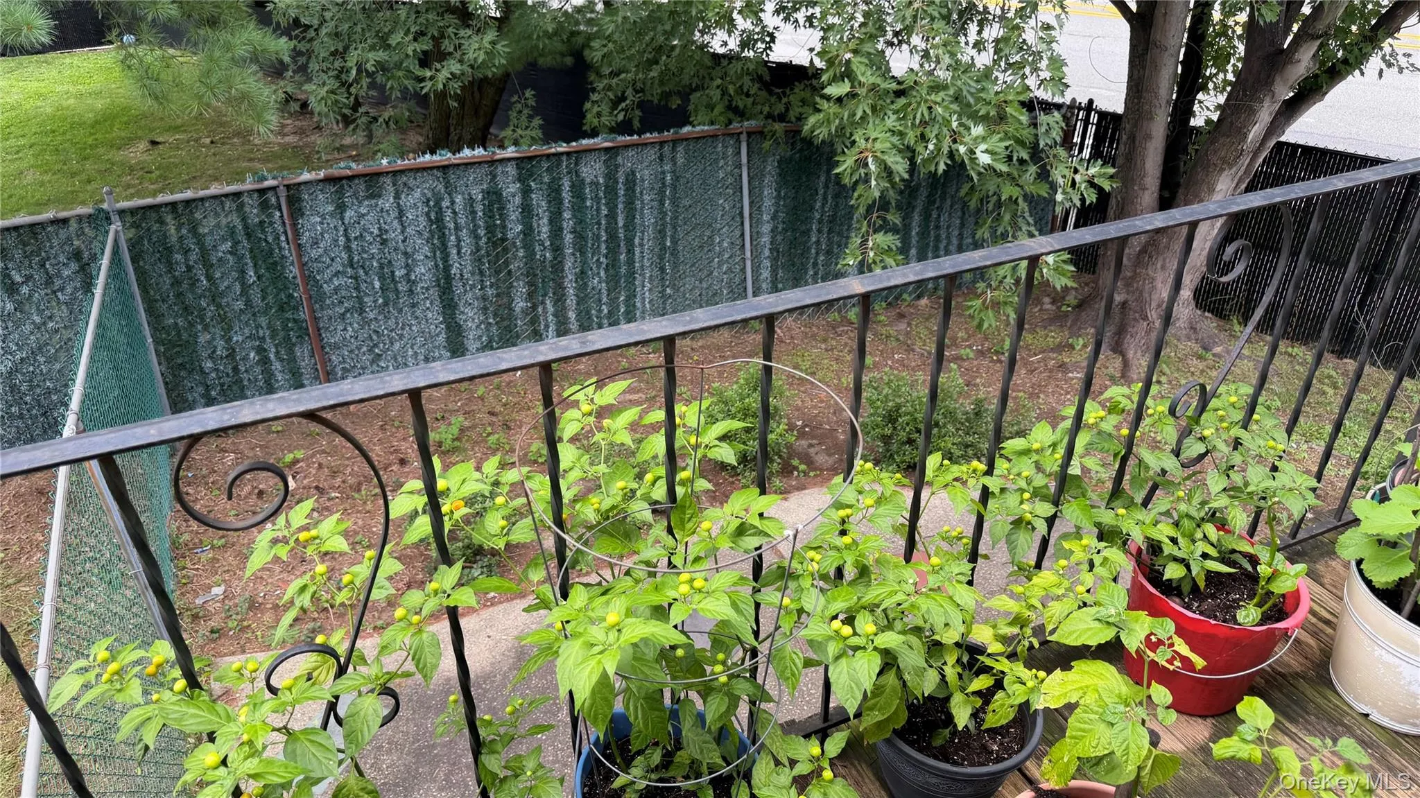 6275 Douglaston Parkway, New York, NY, 4 Bedrooms Bedrooms, 7 Rooms Rooms,2 BathroomsBathrooms,Residential,For Rent,Douglaston,0,1054068 6275 Douglaston Parkway, New York, NY, 4 Bedrooms Bedrooms, 7 Rooms Rooms,2 BathroomsBathrooms,Residential,For Rent,Douglaston,0,1054068