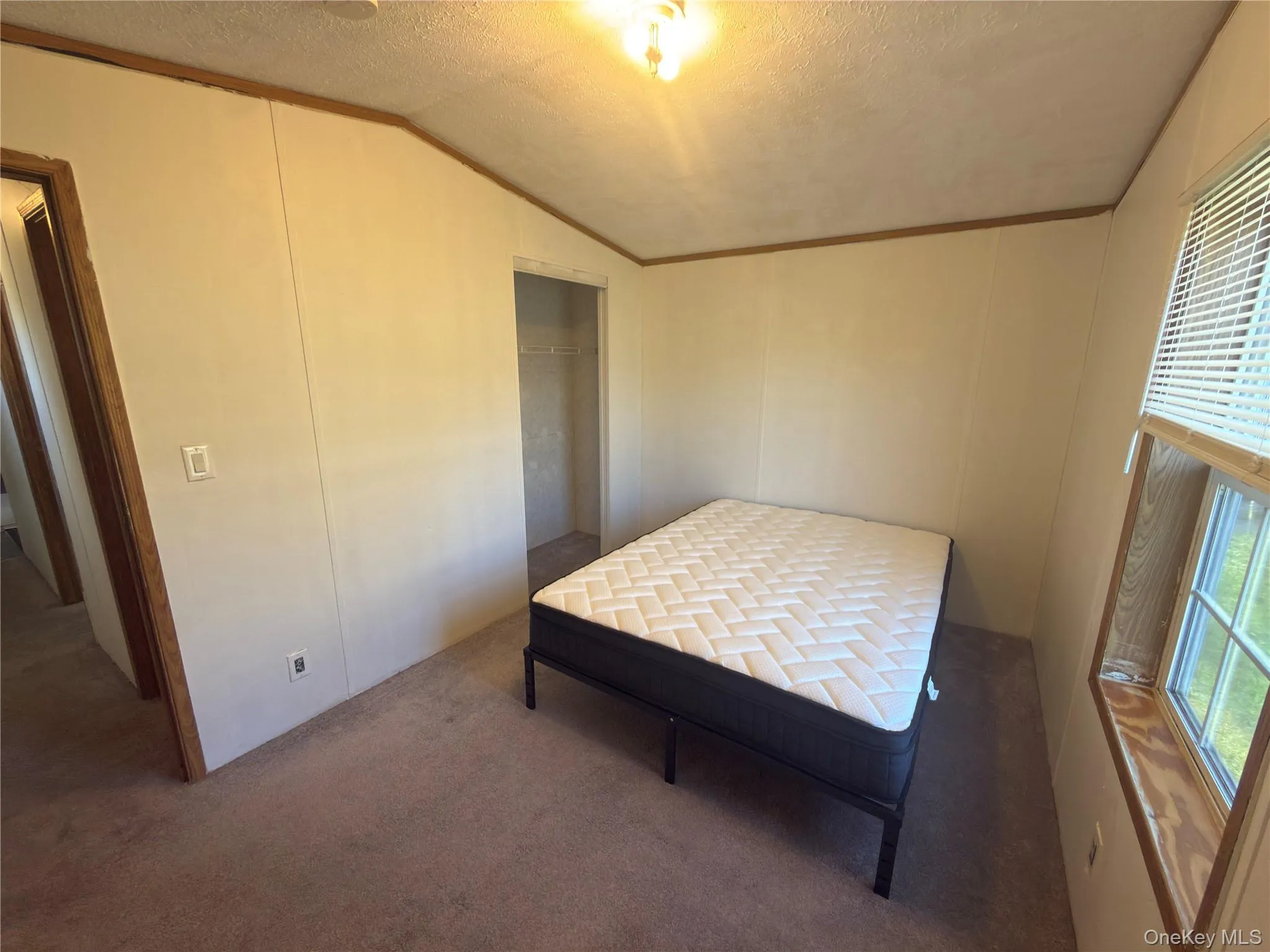 Carpeted flooring, painted walls, and a window with blinds Carpeted flooring, painted walls, and a window with blinds