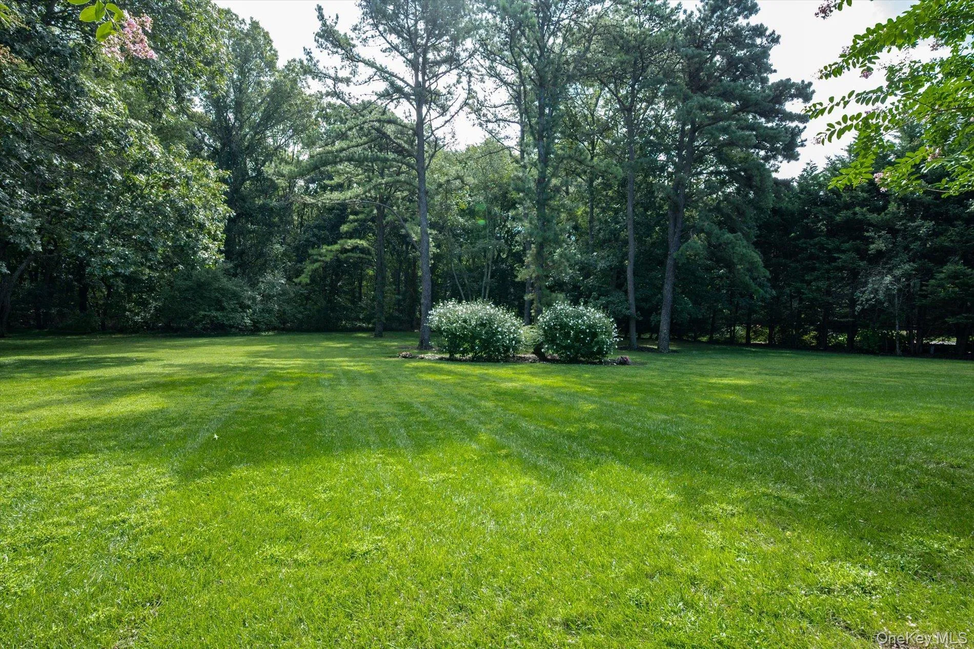 6 Maize Court, Huntington, NY, 5 Bedrooms Bedrooms, 10 Rooms Rooms,3 BathroomsBathrooms,Residential,For Rent,Maize,0,1054118 6 Maize Court, Huntington, NY, 5 Bedrooms Bedrooms, 10 Rooms Rooms,3 BathroomsBathrooms,Residential,For Rent,Maize,0,1054118