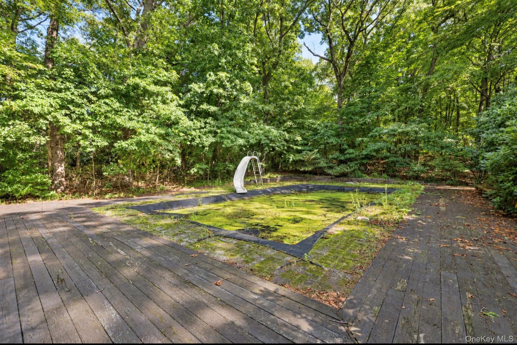 80 Alpine Way, Huntington, NY, 5 Bedrooms Bedrooms, 11 Rooms Rooms,4 BathroomsBathrooms,Residential,For Rent,Alpine,0,1054142 80 Alpine Way, Huntington, NY, 5 Bedrooms Bedrooms, 11 Rooms Rooms,4 BathroomsBathrooms,Residential,For Rent,Alpine,0,1054142