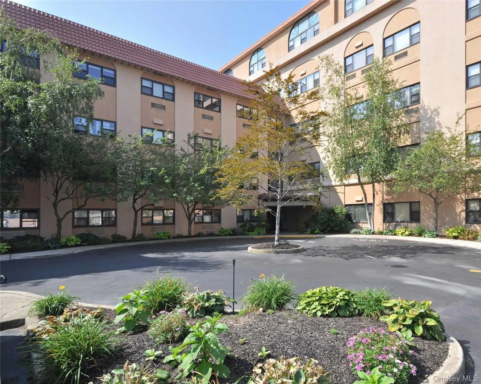 185 Park Avenue, Long Beach, NY, 2 Bedrooms Bedrooms, 4 Rooms Rooms,2 BathroomsBathrooms,Residential,For Rent,Park,0,1054154 185 Park Avenue, Long Beach, NY, 2 Bedrooms Bedrooms, 4 Rooms Rooms,2 BathroomsBathrooms,Residential,For Rent,Park,0,1054154
