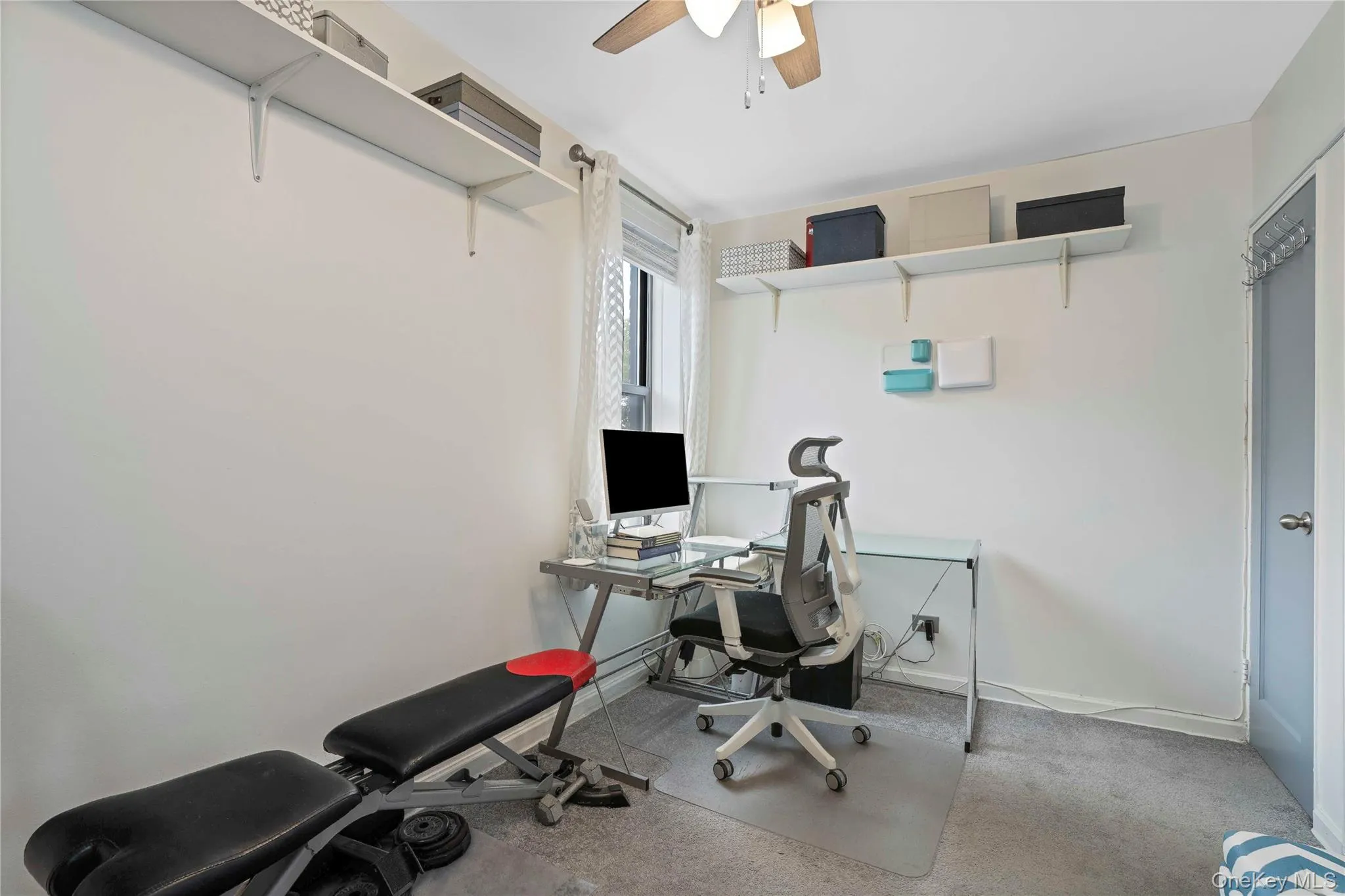 2271 Knapp Street, New York, NY, 2 Bedrooms Bedrooms, 4 Rooms Rooms,1 BathroomBathrooms,Residential,For Rent,Knapp,0,1054160 2271 Knapp Street, New York, NY, 2 Bedrooms Bedrooms, 4 Rooms Rooms,1 BathroomBathrooms,Residential,For Rent,Knapp,0,1054160