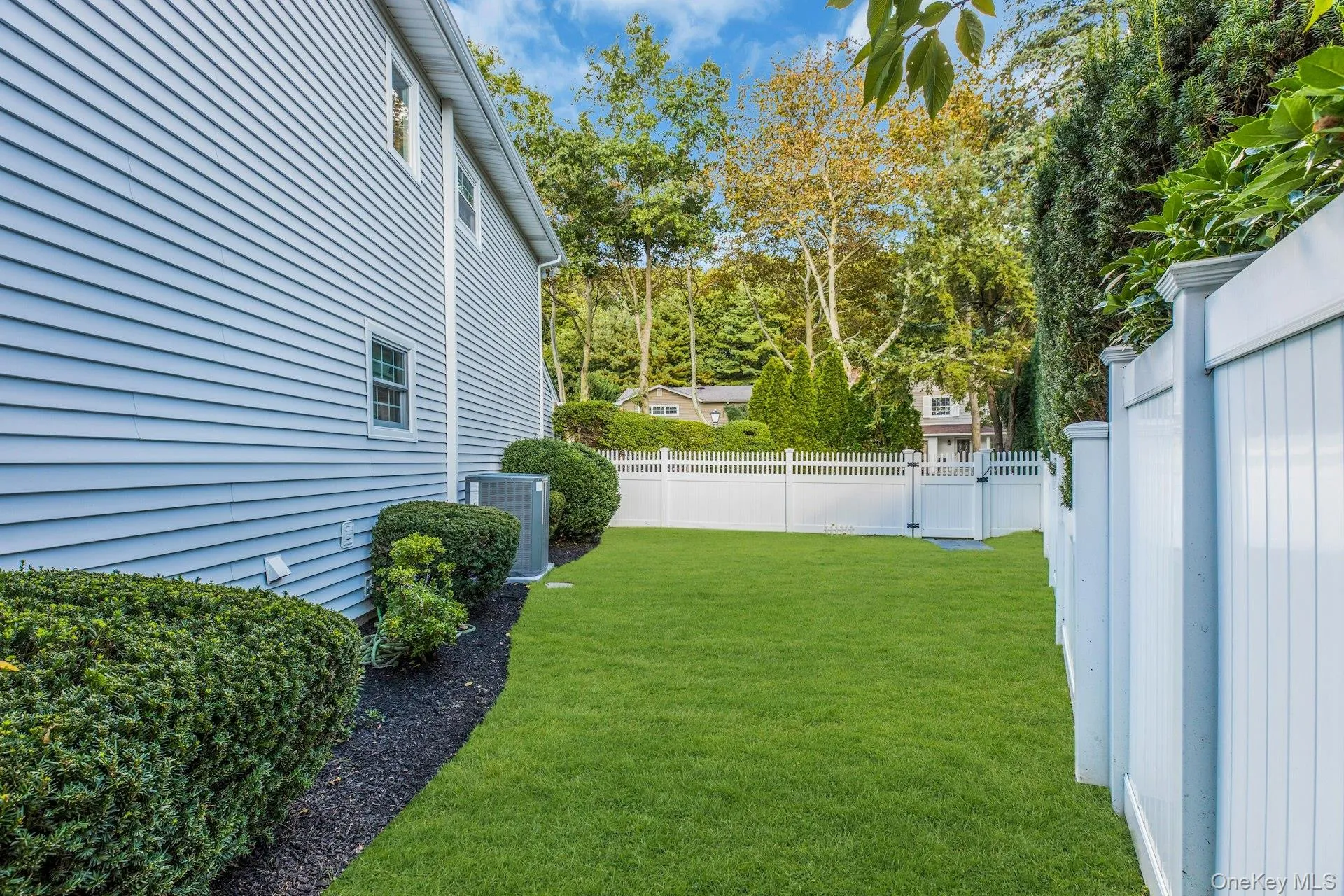 Side yard Side yard