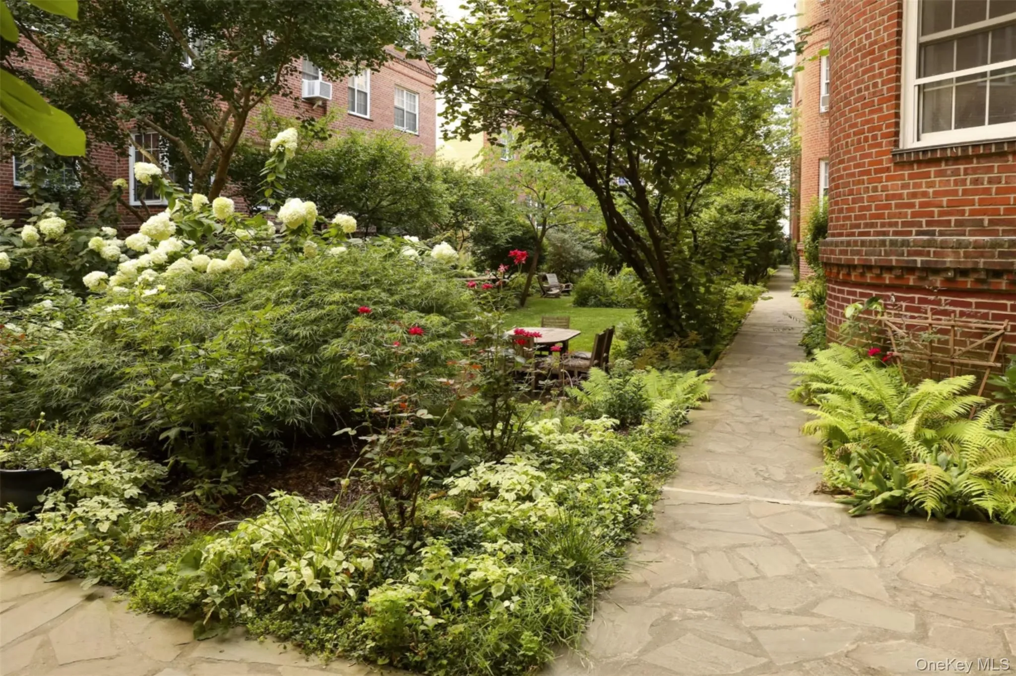 3525 77th Street, New York, NY, 2 Rooms Rooms,1 BathroomBathrooms,Residential,For Rent,77th,0,1054202 3525 77th Street, New York, NY, 2 Rooms Rooms,1 BathroomBathrooms,Residential,For Rent,77th,0,1054202