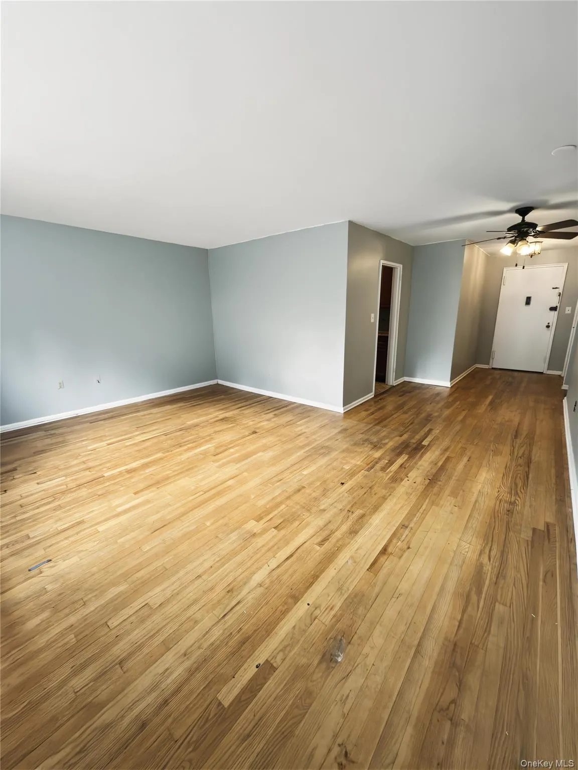153-25 88th Street, New York, NY, 1 Bedroom Bedrooms, 4 Rooms Rooms,1 BathroomBathrooms,Residential,For Rent,88th Street,0,1054346 153-25 88th Street, New York, NY, 1 Bedroom Bedrooms, 4 Rooms Rooms,1 BathroomBathrooms,Residential,For Rent,88th Street,0,1054346