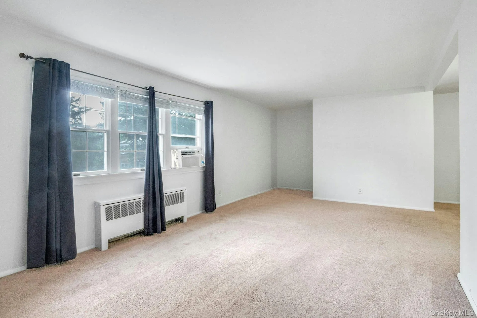 Spacious Living Room with Great Natural Light. Spacious Living Room with Great Natural Light.