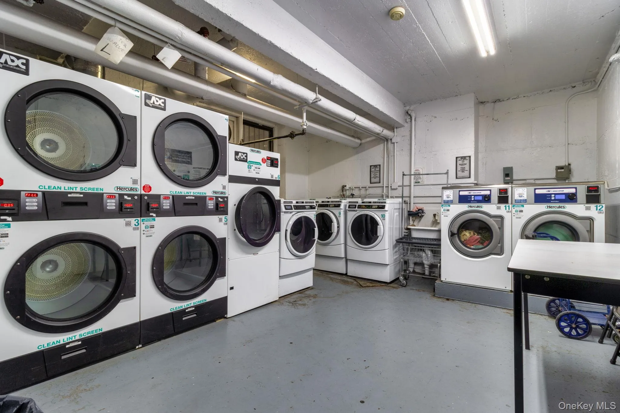 3235 Cambridge Avenue, New York, NY, 1 Bedroom Bedrooms, 5 Rooms Rooms,1 BathroomBathrooms,Residential Lease,For Rent,Cambridge,0,1054424 3235 Cambridge Avenue, New York, NY, 1 Bedroom Bedrooms, 5 Rooms Rooms,1 BathroomBathrooms,Residential Lease,For Rent,Cambridge,0,1054424