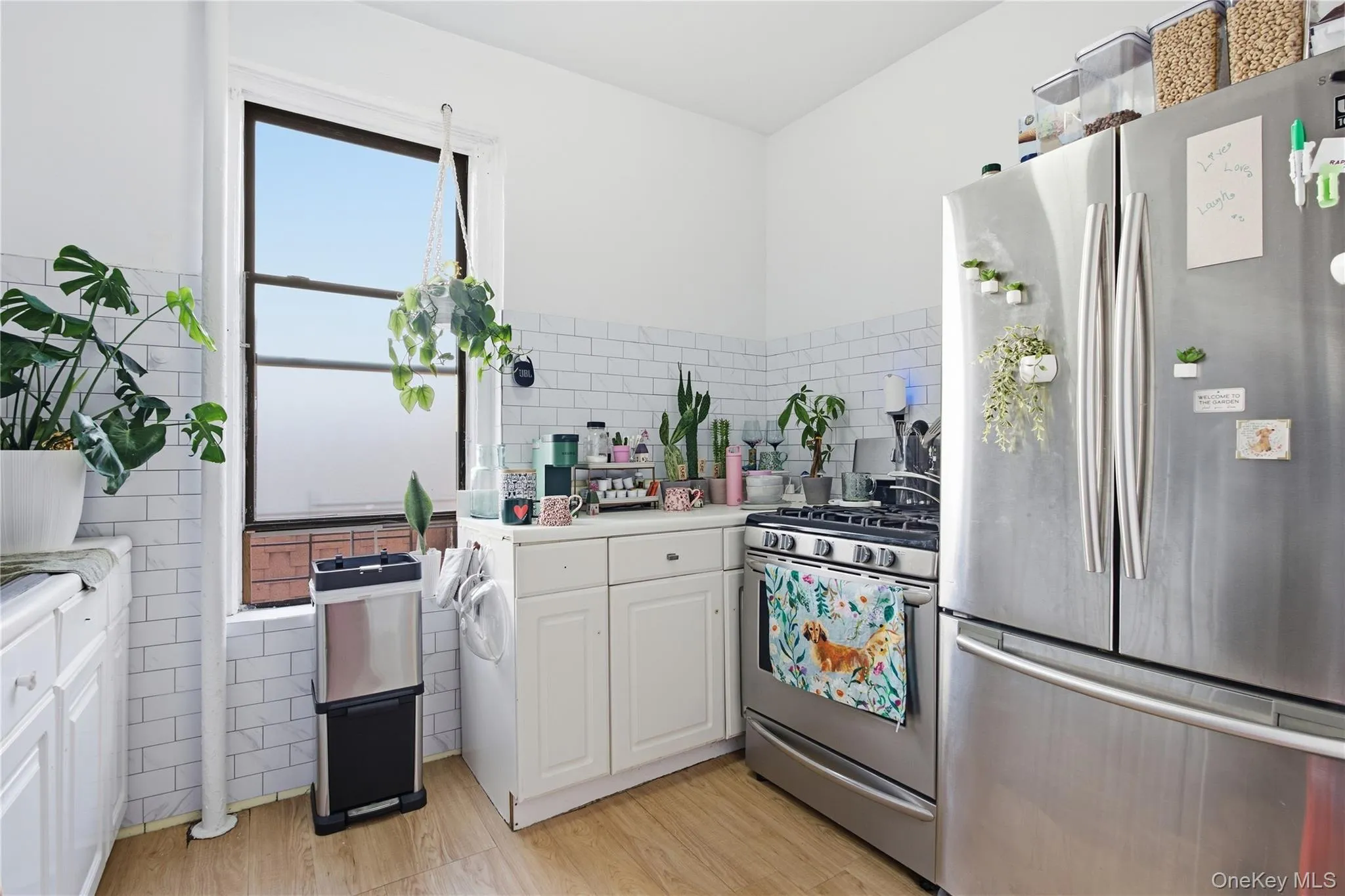 924 summit Avenue, New York, NY, 3 Bedrooms Bedrooms, 5 Rooms Rooms,1 BathroomBathrooms,Residential,For Rent,summit,0,1054449 924 summit Avenue, New York, NY, 3 Bedrooms Bedrooms, 5 Rooms Rooms,1 BathroomBathrooms,Residential,For Rent,summit,0,1054449