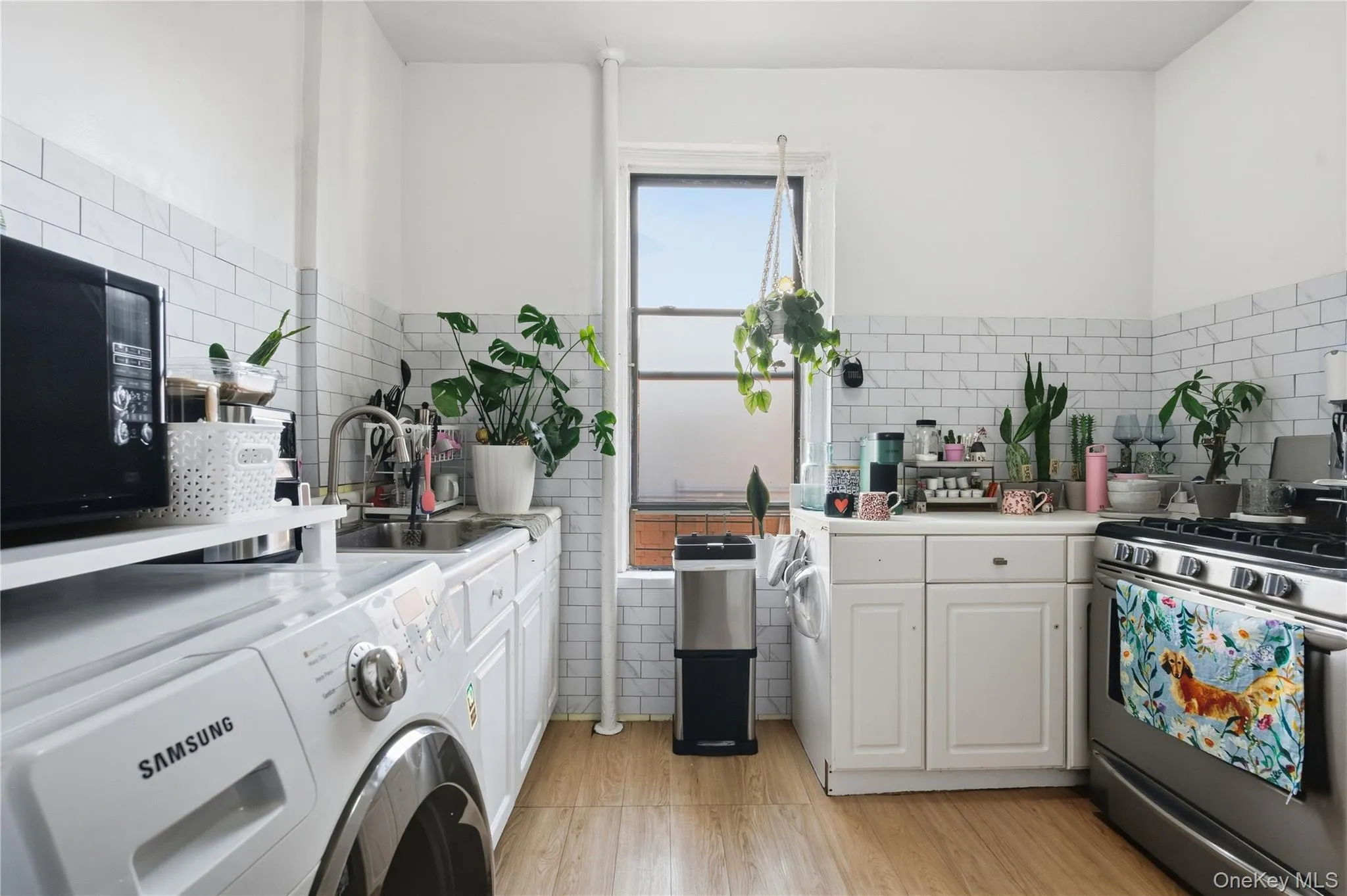 924 summit Avenue, New York, NY, 3 Bedrooms Bedrooms, 5 Rooms Rooms,1 BathroomBathrooms,Residential,For Rent,summit,0,1054449 924 summit Avenue, New York, NY, 3 Bedrooms Bedrooms, 5 Rooms Rooms,1 BathroomBathrooms,Residential,For Rent,summit,0,1054449
