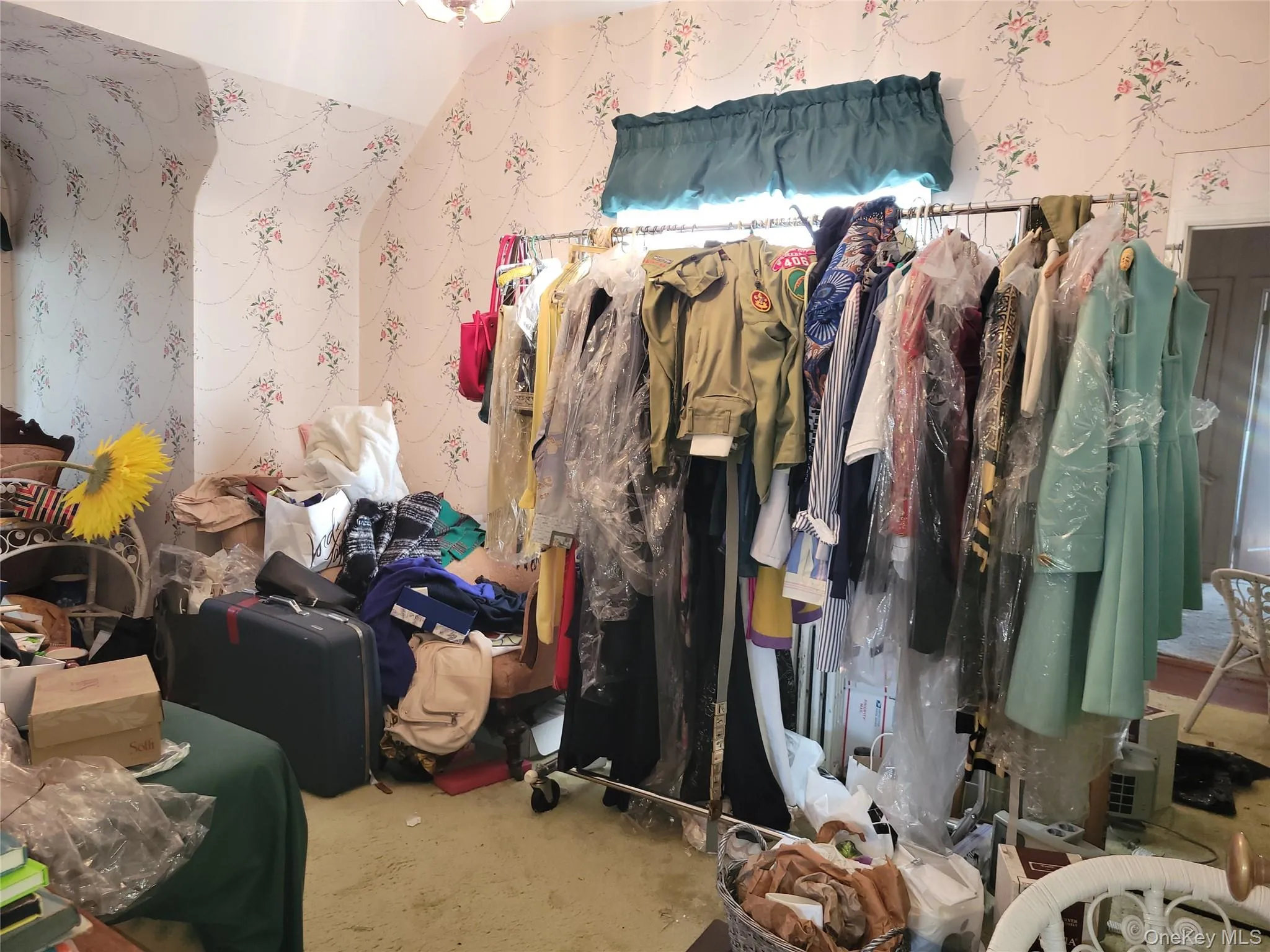 53-11 251st Place, New York, NY, 3 Bedrooms Bedrooms, 6 Rooms Rooms,1 BathroomBathrooms,Residential,For Rent,251st,0,1054461 53-11 251st Place, New York, NY, 3 Bedrooms Bedrooms, 6 Rooms Rooms,1 BathroomBathrooms,Residential,For Rent,251st,0,1054461