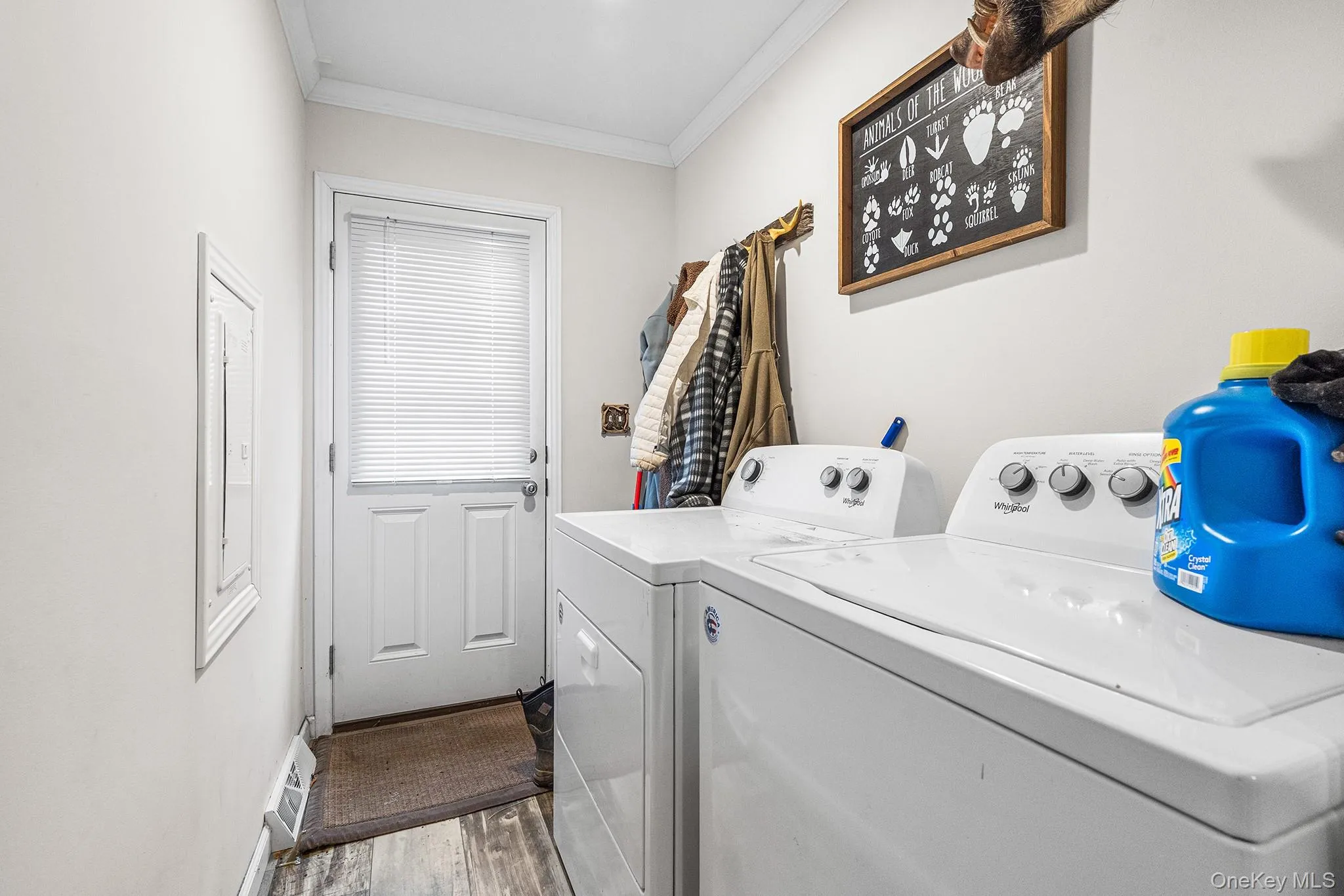 735 Plattekill Ardonia Road, Plattekill, NY, 4 Bedrooms Bedrooms, 6 Rooms Rooms,2 BathroomsBathrooms,Residential,For Rent,Plattekill Ardonia,0,1054473 735 Plattekill Ardonia Road, Plattekill, NY, 4 Bedrooms Bedrooms, 6 Rooms Rooms,2 BathroomsBathrooms,Residential,For Rent,Plattekill Ardonia,0,1054473