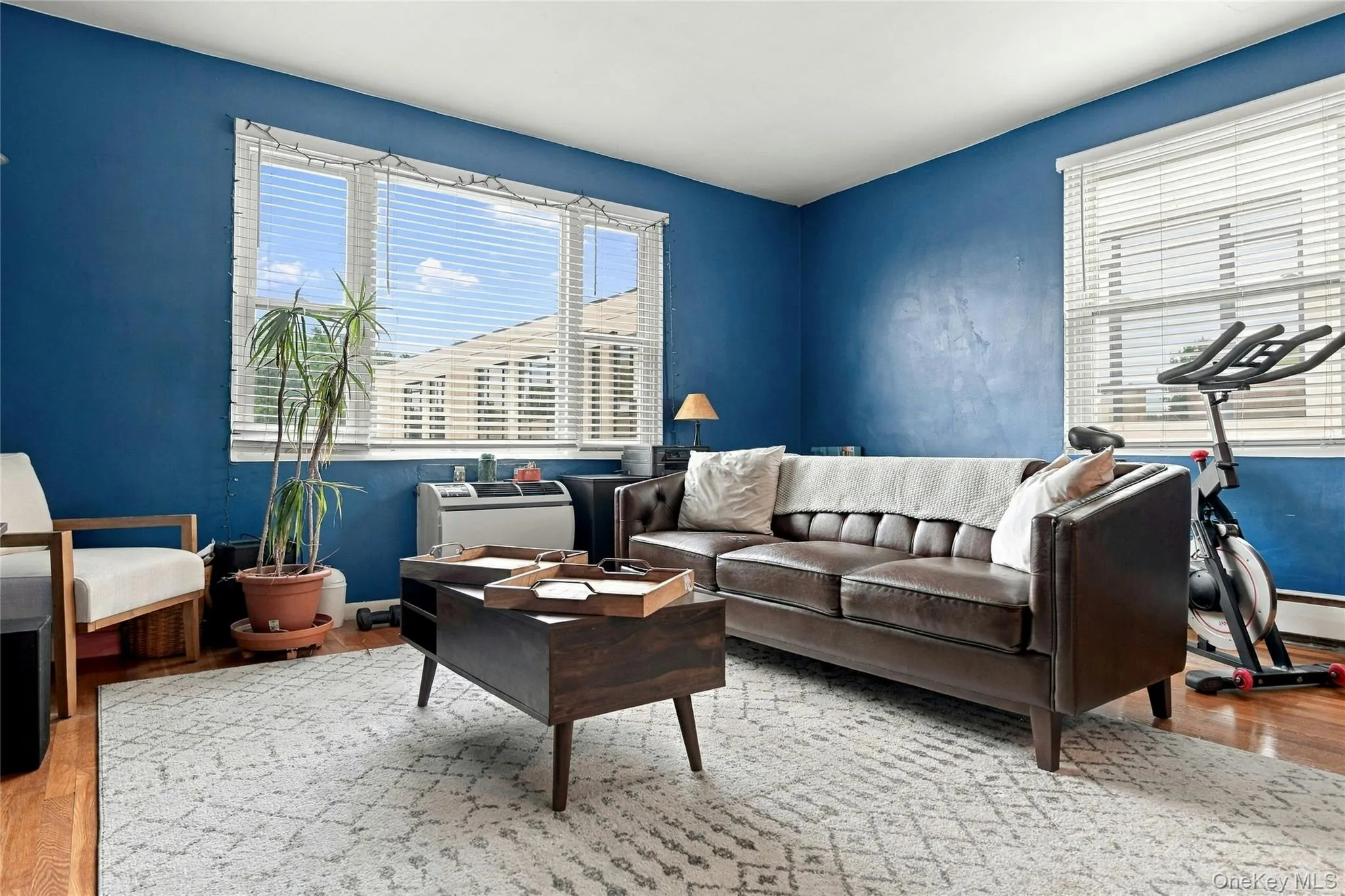 21 Bond Street, North Hempstead, NY, 1 Bedroom Bedrooms, 3 Rooms Rooms,1 BathroomBathrooms,Residential,For Rent,Bond,0,1054542 21 Bond Street, North Hempstead, NY, 1 Bedroom Bedrooms, 3 Rooms Rooms,1 BathroomBathrooms,Residential,For Rent,Bond,0,1054542