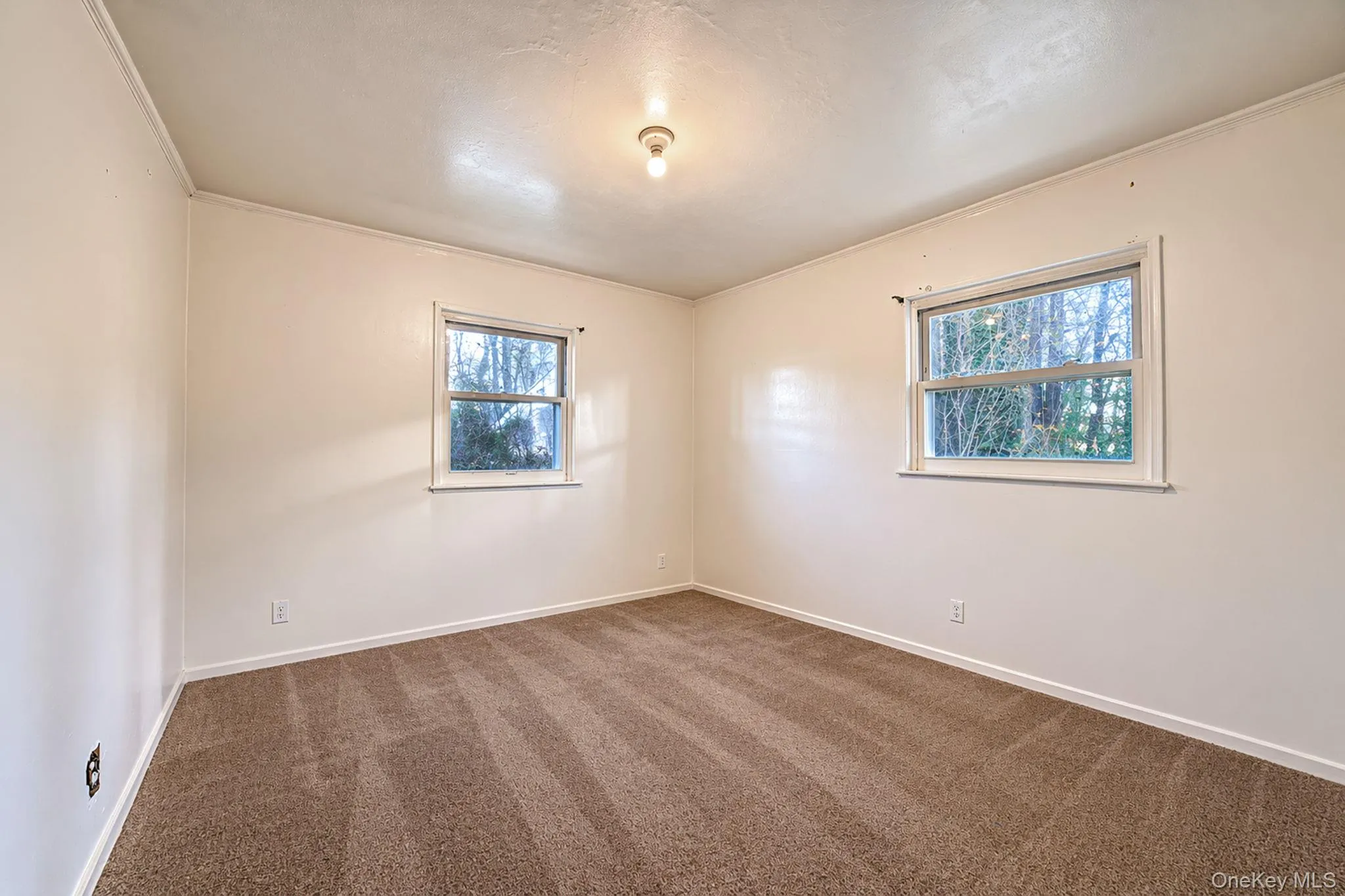 243 Coventry Road, Hempstead, NY, 3 Bedrooms Bedrooms, 6 Rooms Rooms,1 BathroomBathrooms,Residential,For Rent,Coventry,0,1054564 243 Coventry Road, Hempstead, NY, 3 Bedrooms Bedrooms, 6 Rooms Rooms,1 BathroomBathrooms,Residential,For Rent,Coventry,0,1054564