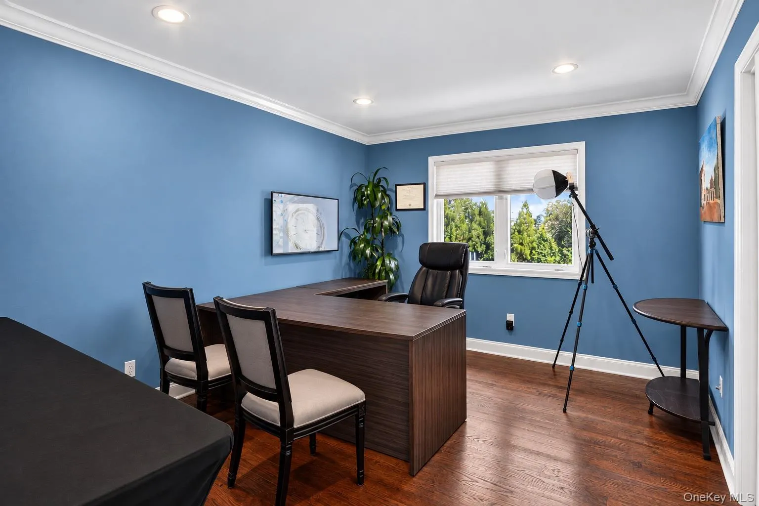 125 Pace Drive, Islip, NY, 5 Bedrooms Bedrooms, 12 Rooms Rooms,2 BathroomsBathrooms,Residential,For Rent,Pace,0,1054565 125 Pace Drive, Islip, NY, 5 Bedrooms Bedrooms, 12 Rooms Rooms,2 BathroomsBathrooms,Residential,For Rent,Pace,0,1054565