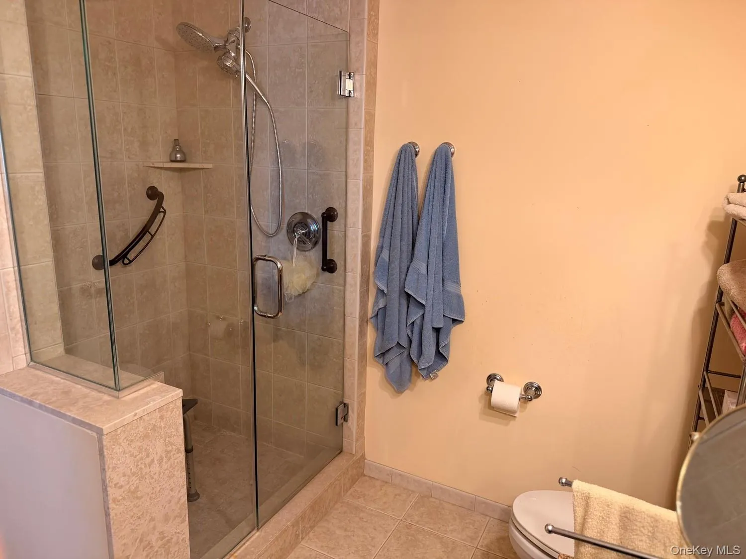 Walk in glass shower as shown Walk in glass shower as shown
