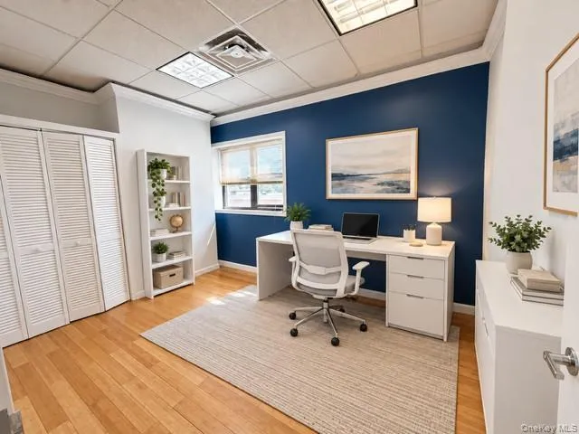 VS Office VS Office